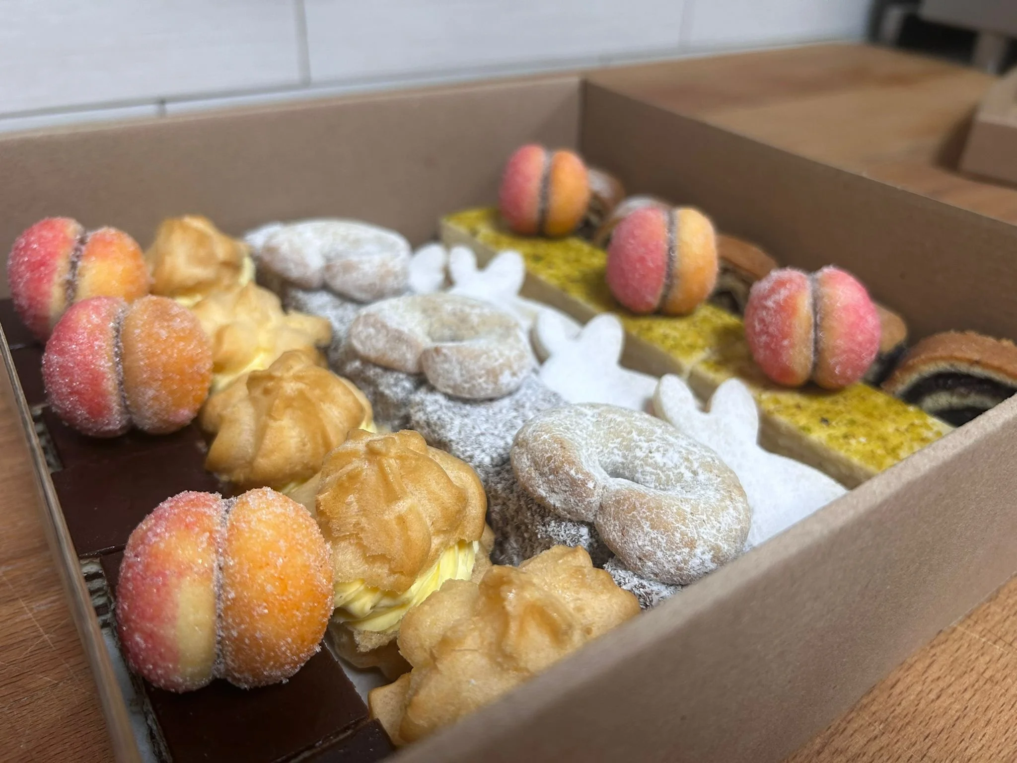 WhatsApp Image 2026-03-11 at 10.18.30(3).jpeg