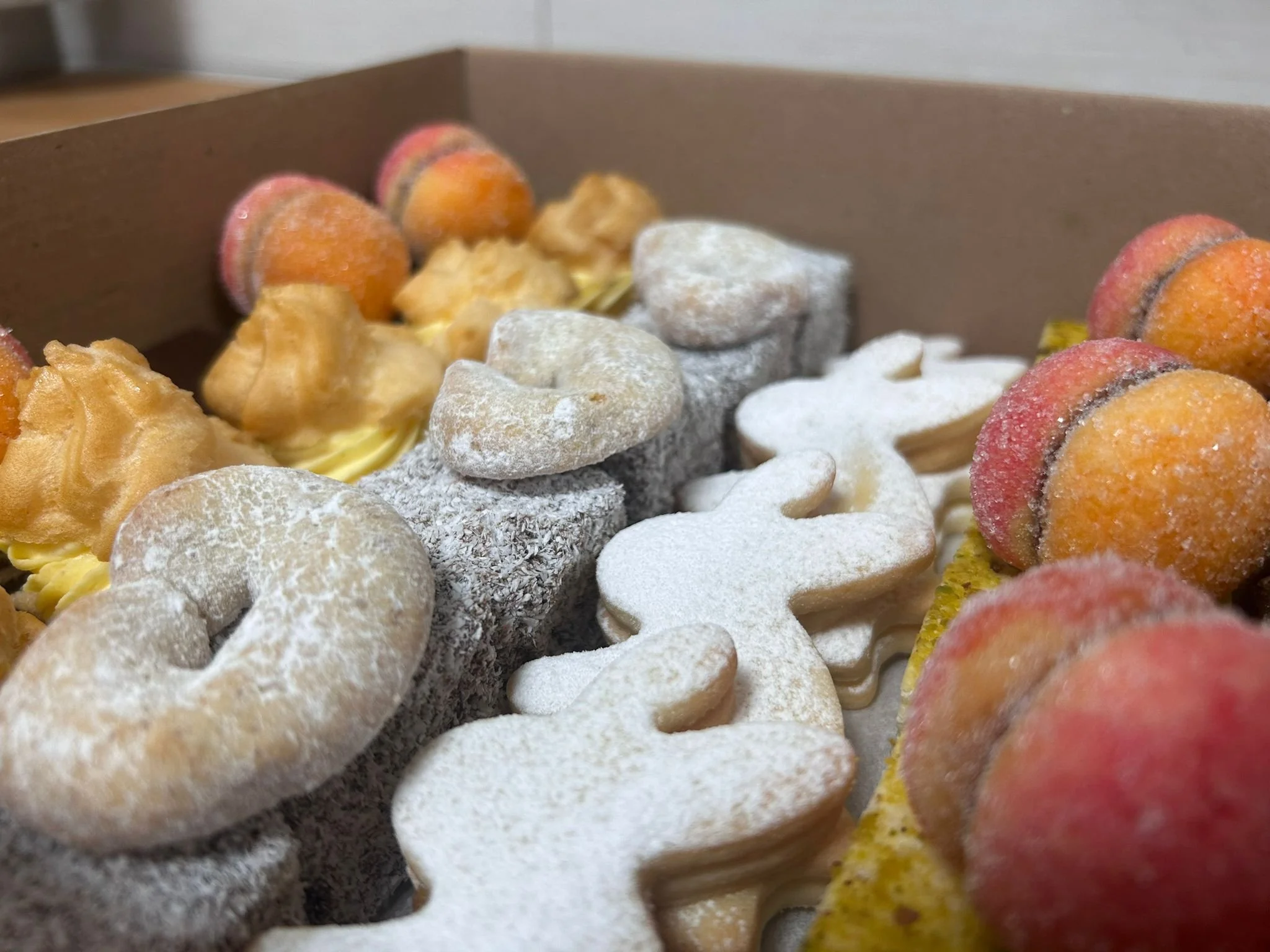 WhatsApp Image 2026-03-11 at 10.18.30(2).jpeg