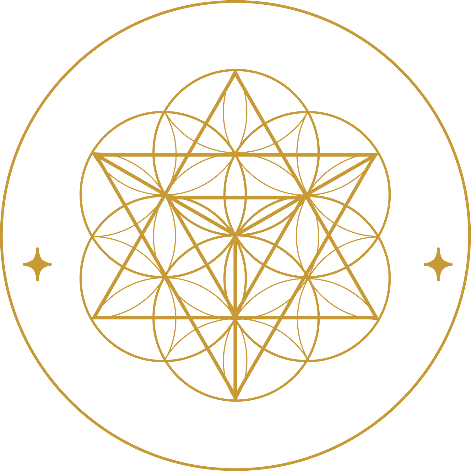 Starseed Coaching