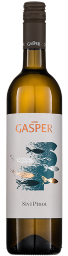Gašper Pinot Grigio