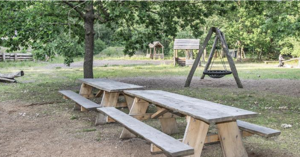 Derfor elsker jeg Tange Plantage til jeres billeder