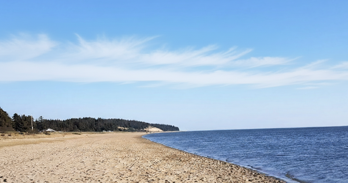 Marbæk Strand og Skov: Den ultimative lokation til naturlig fotografering