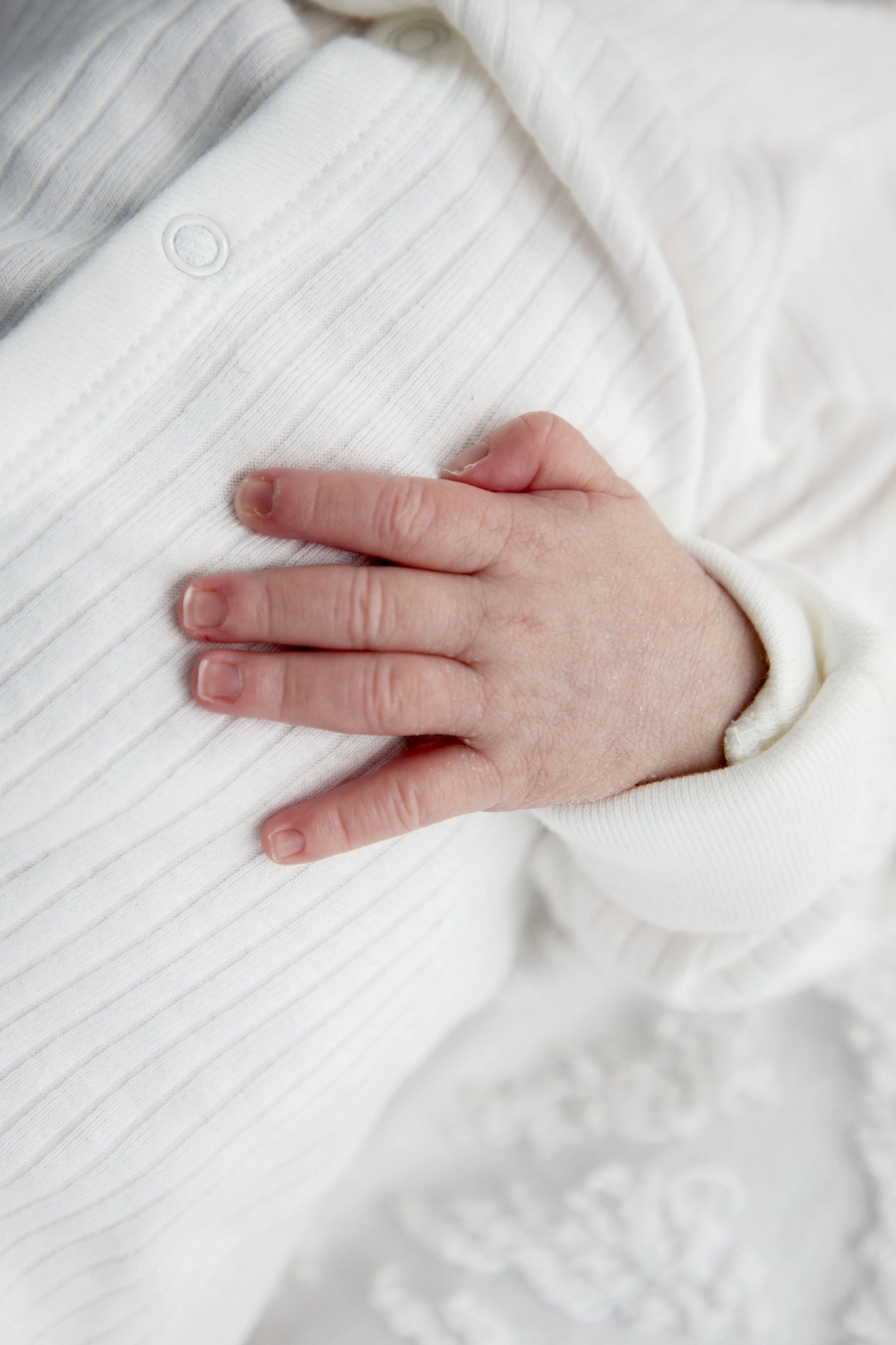 IMG_2414-1 copia.jpg