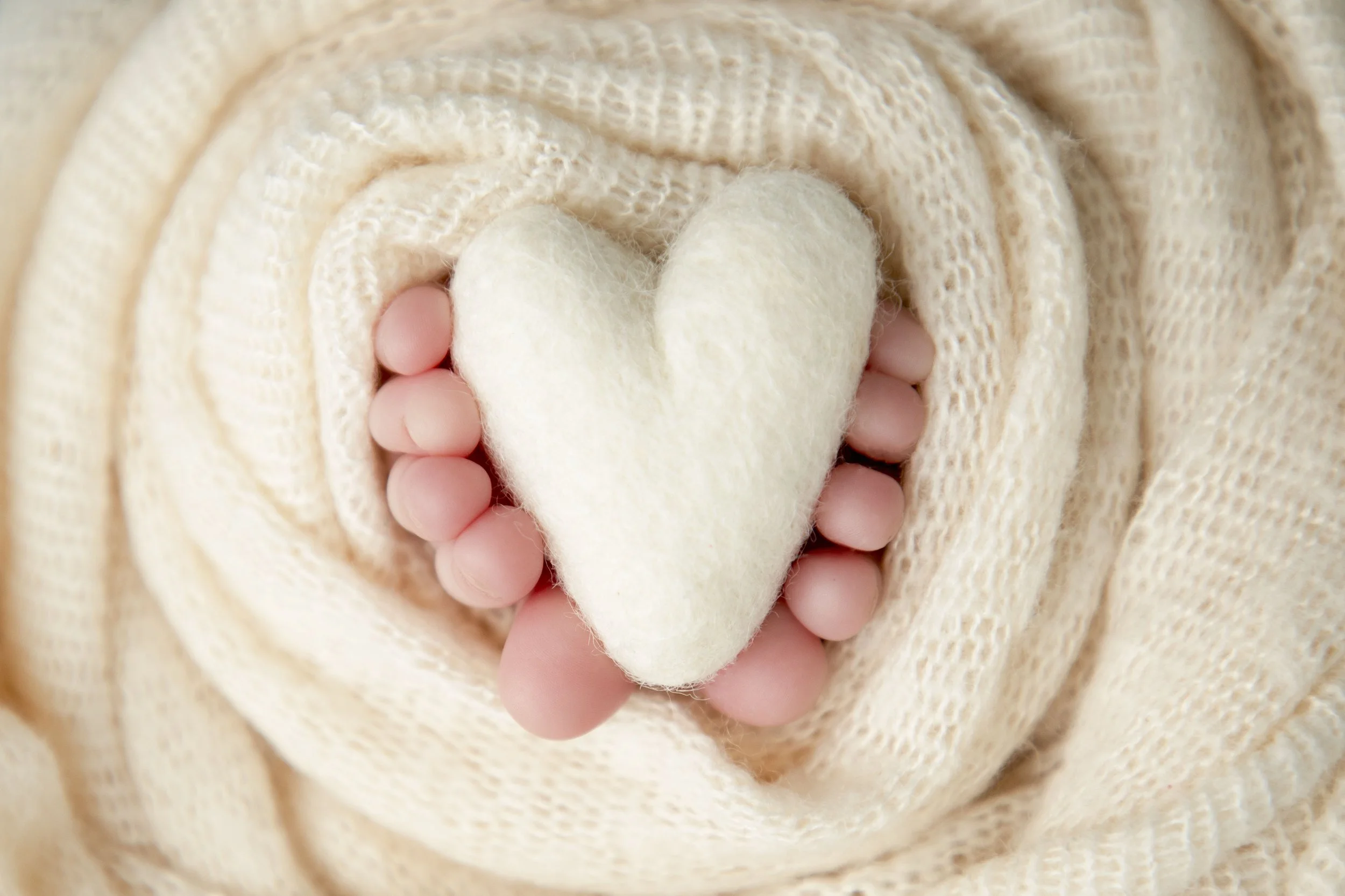 IMG_8564-1 copia.jpg