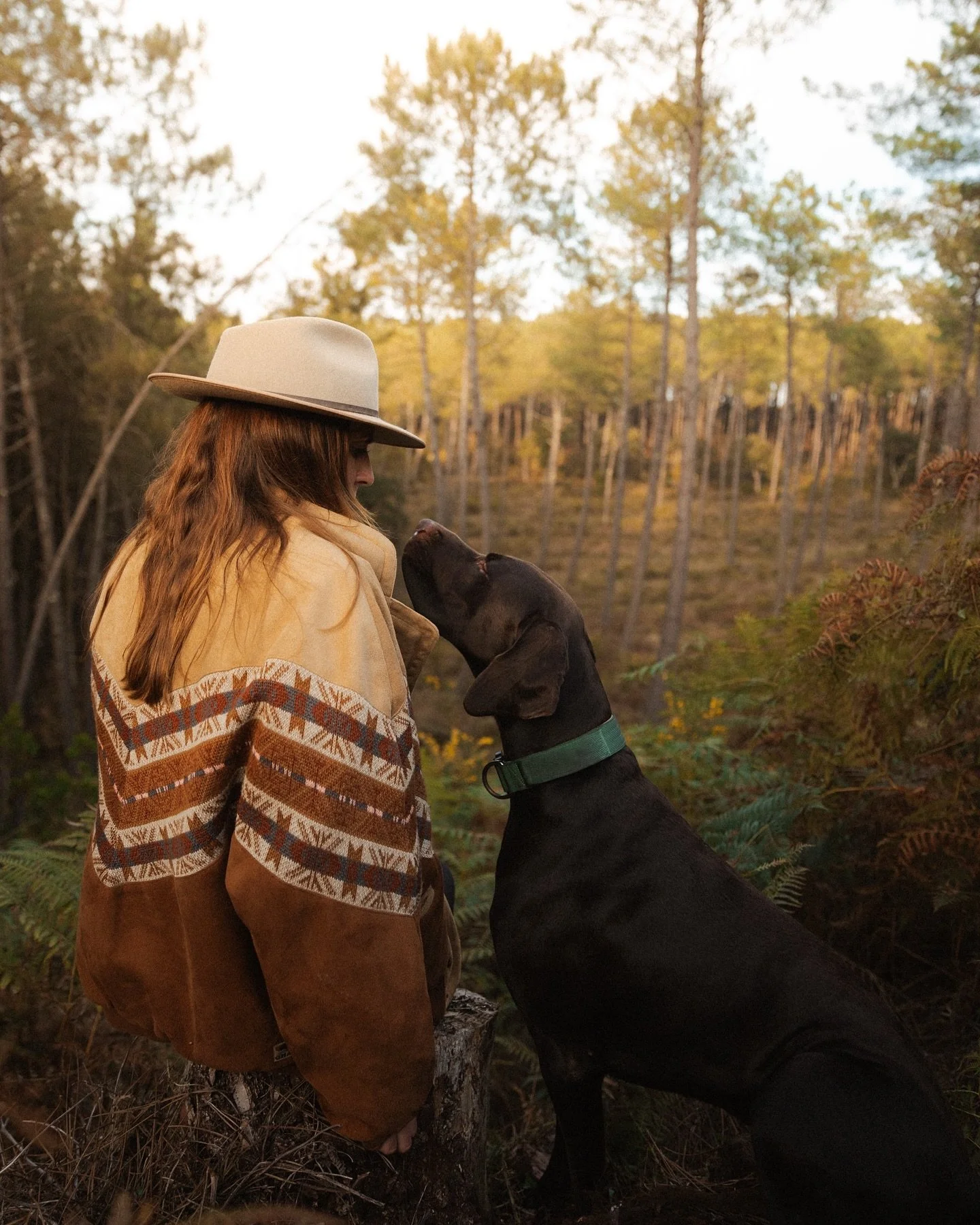 Nelly &amp; Augustin, le duo ins&eacute;parable de @lapaws.bienetrecanin 🐾
Partie 1 - en for&ecirc;t 🍂🍁  Les s&eacute;ances photo avec vos animaux me touchent particuli&egrave;rement puisque j&rsquo;ai moi-m&ecirc;me 3 loulous (Charlie le beagle, 