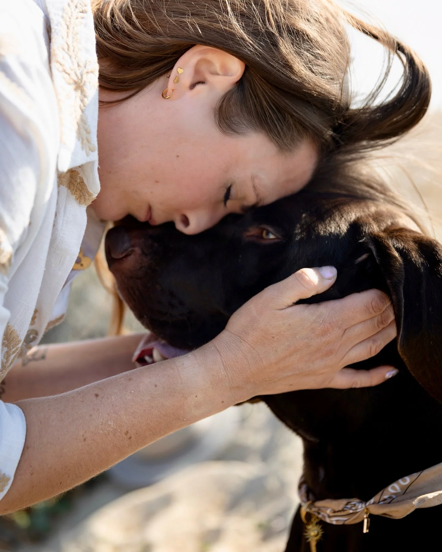 Rien n&rsquo;&eacute;gale l&rsquo;amour d&rsquo;un chien : un regard, une patte pos&eacute;e sur ta main, et tout va mieux. 🐶❤️ 

@lapaws.bienetrecanin 

#photographelandes #photographepaysbasque #photographecanin #chienlandes #photographesudouest