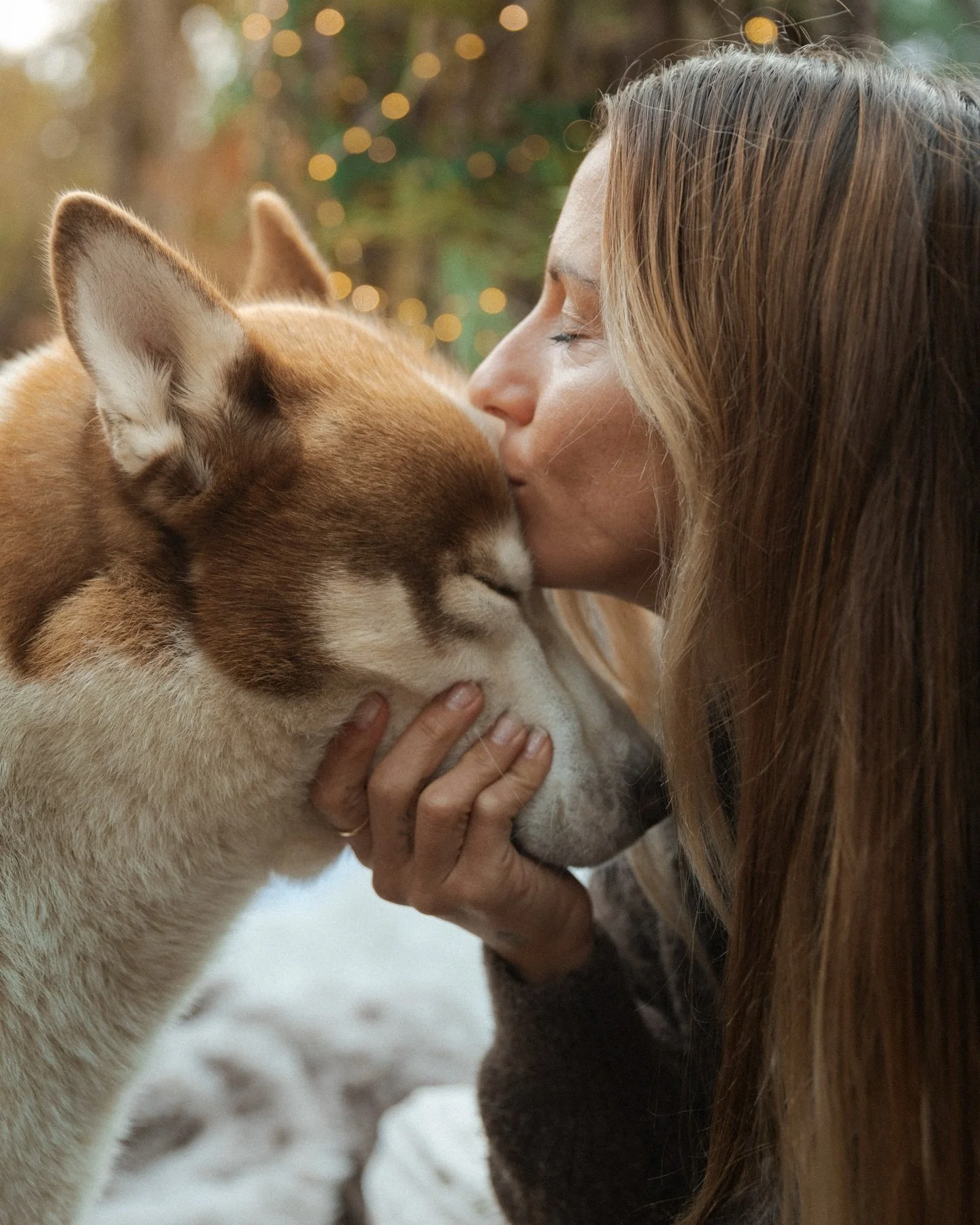 🎄 [JEU CONCOURS DE NO&Euml;L] 🌲✨ GAGNE UNE S&Eacute;ANCE PHOTO A LA MONTAGNE 📸  Pour c&eacute;l&eacute;brer cette p&eacute;riode que j&rsquo;adore &mdash; celle des plaids, du chocolat chaud et de la magie dans l&rsquo;air &mdash; j&rsquo;ai eu en