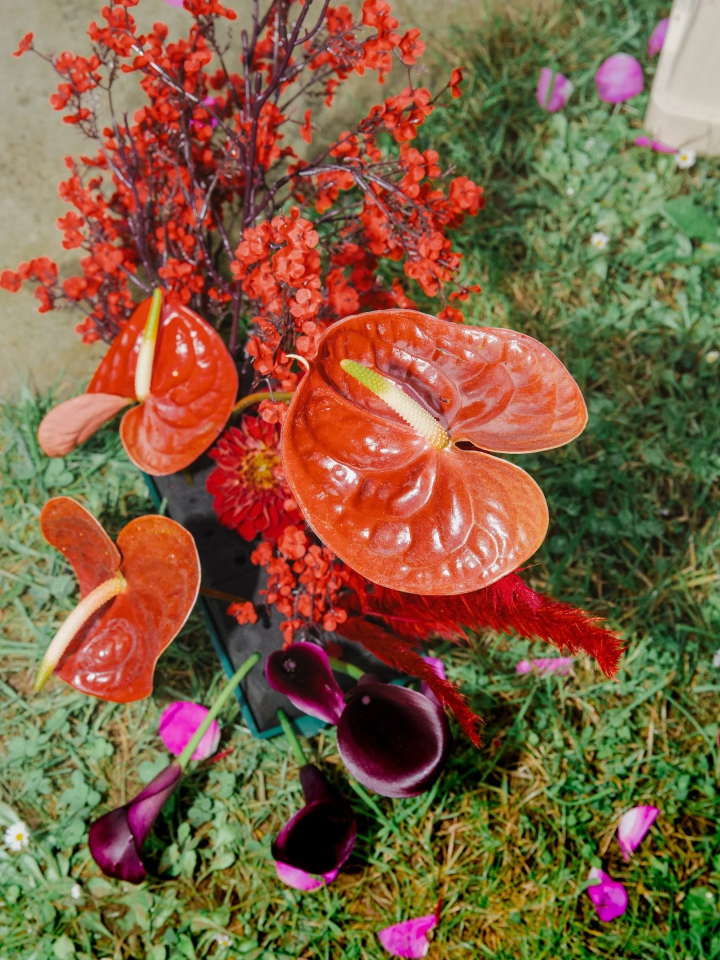 Les beaut&eacute;s de @aesthete_floraldesign