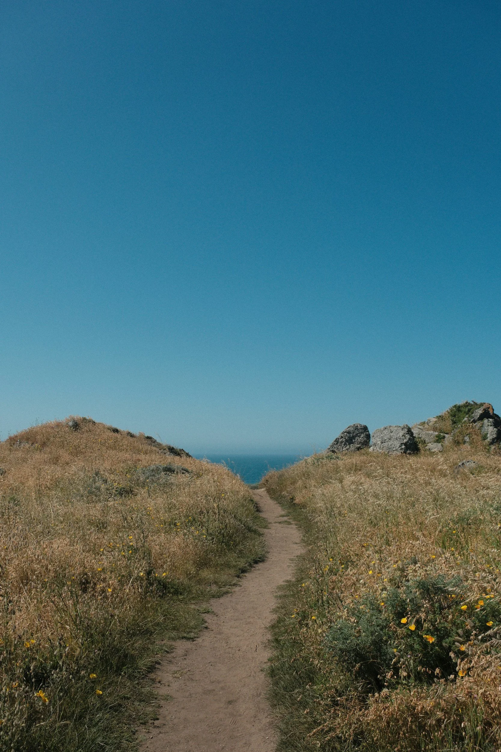 Why Being Healthy Feels So Hard (And the Kinder Way Forward)