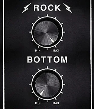Rock Bottom: A music writer's journey into madness, by Michael Odell.