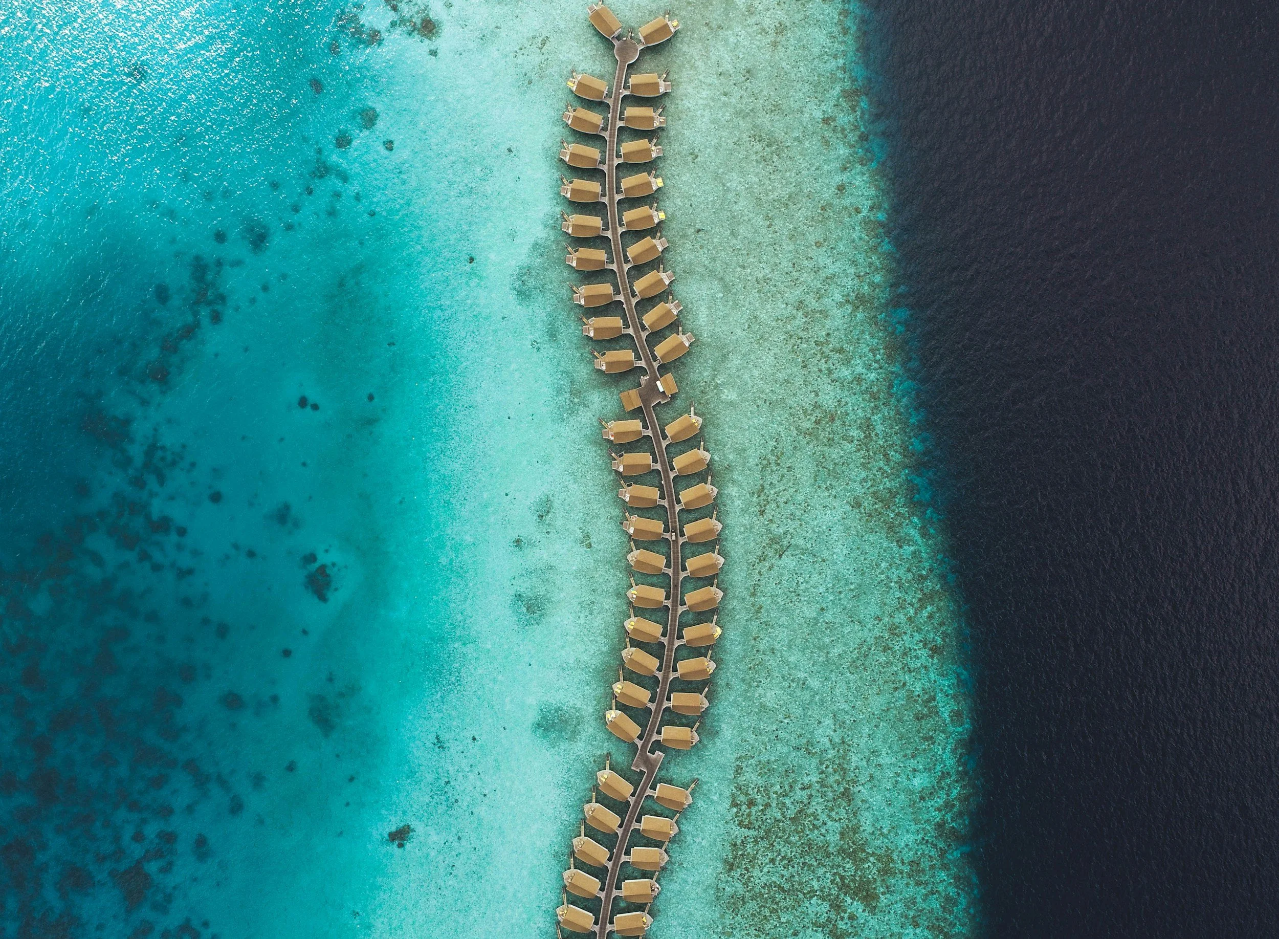 Luxury Beach Holidays: White sands, crystal-clear water, elegant resorts and villas. Ideal for total relaxation with high standards of service.