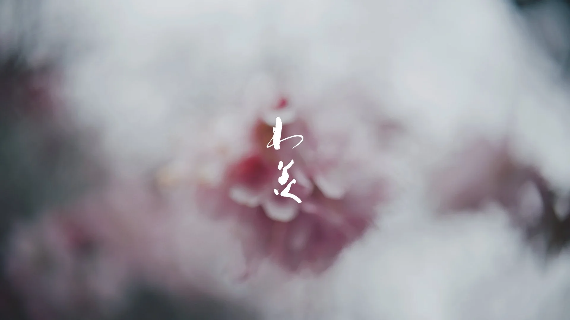 わ美-wabi