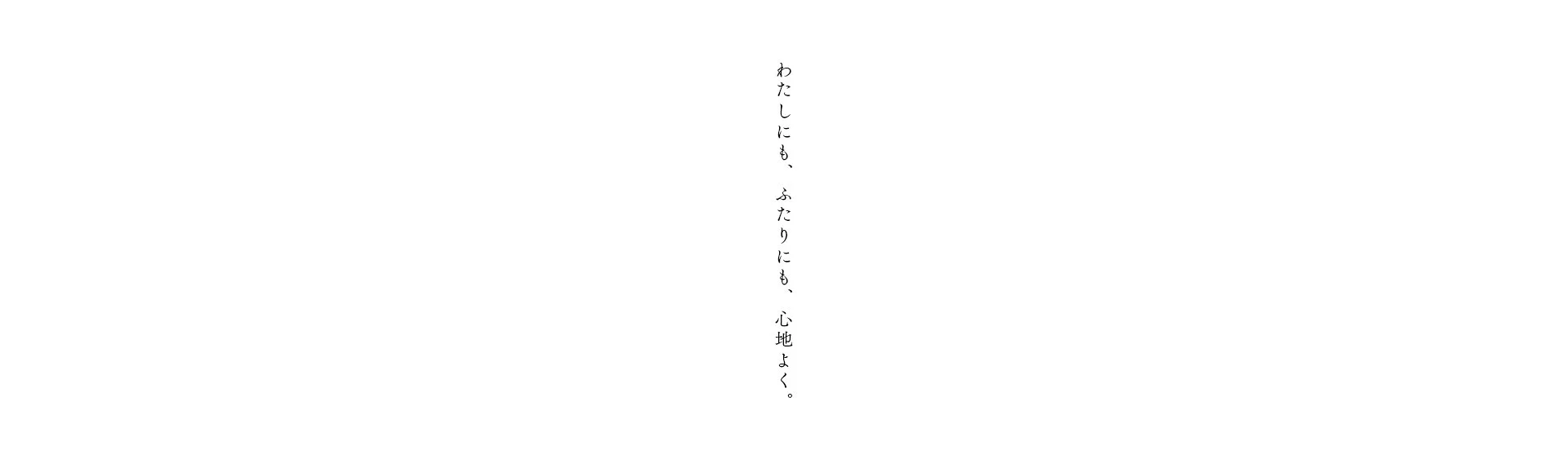 panasonic_j_02.jpg