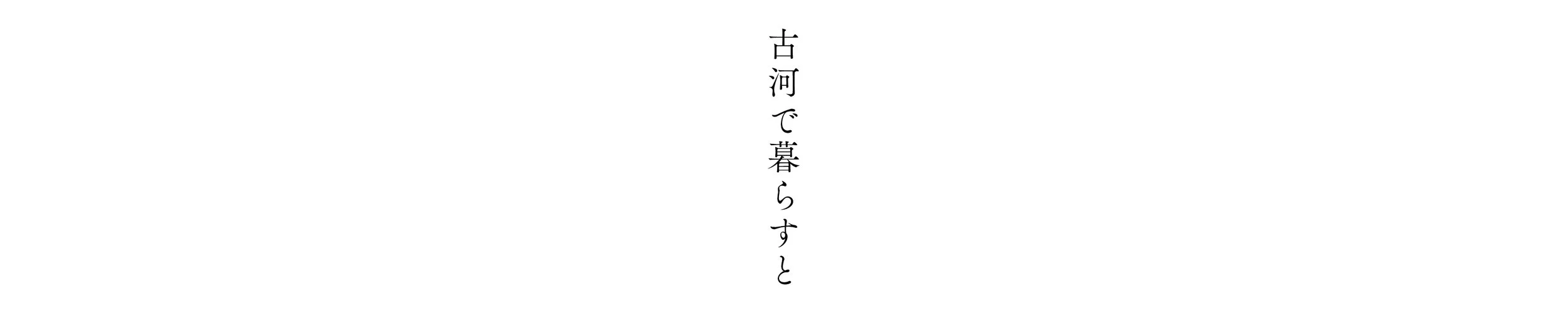 koga_city_02.jpg