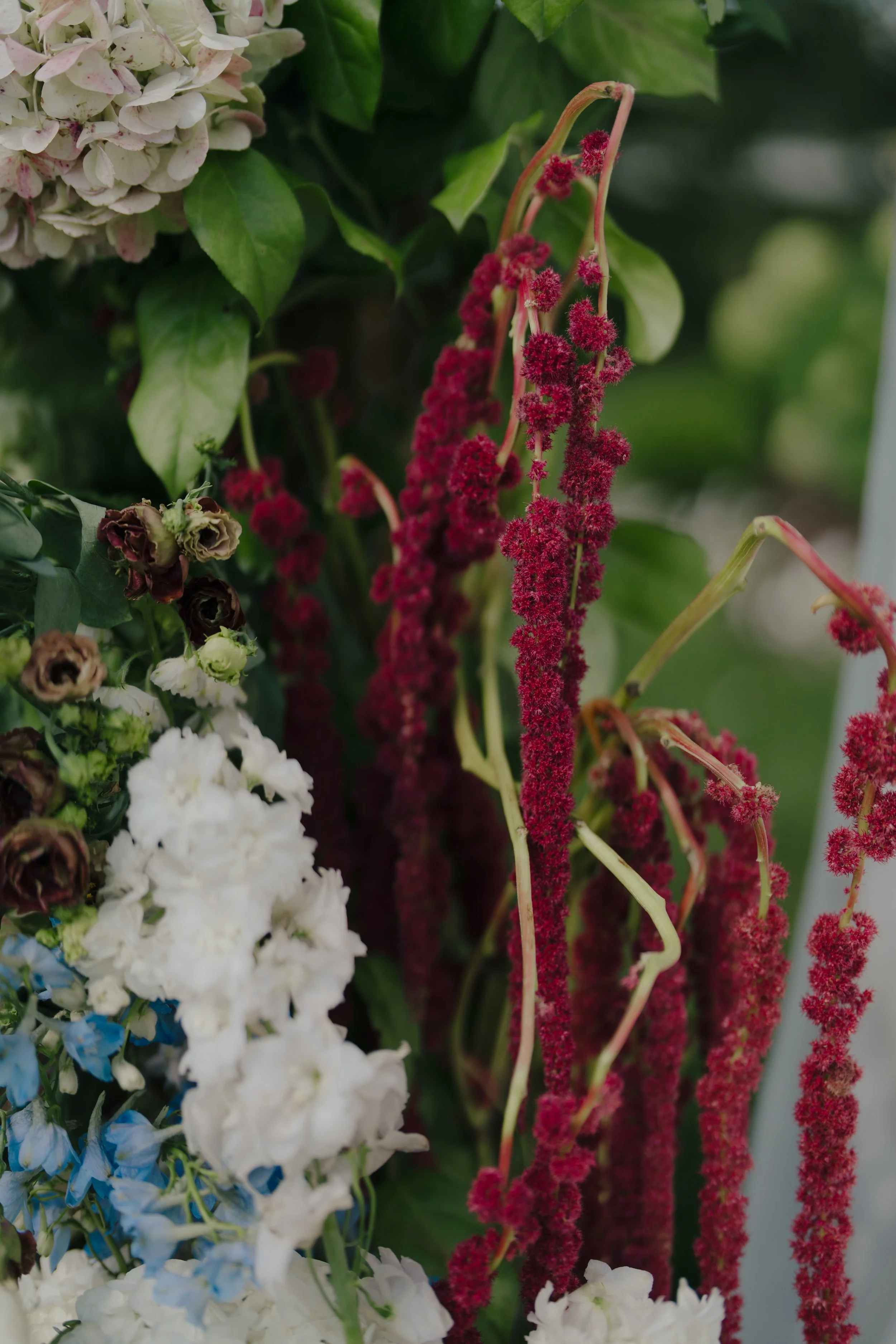 Close-up of various colorful flowers, including red, white, blue, and purple blossoms, with green leaves in the background.