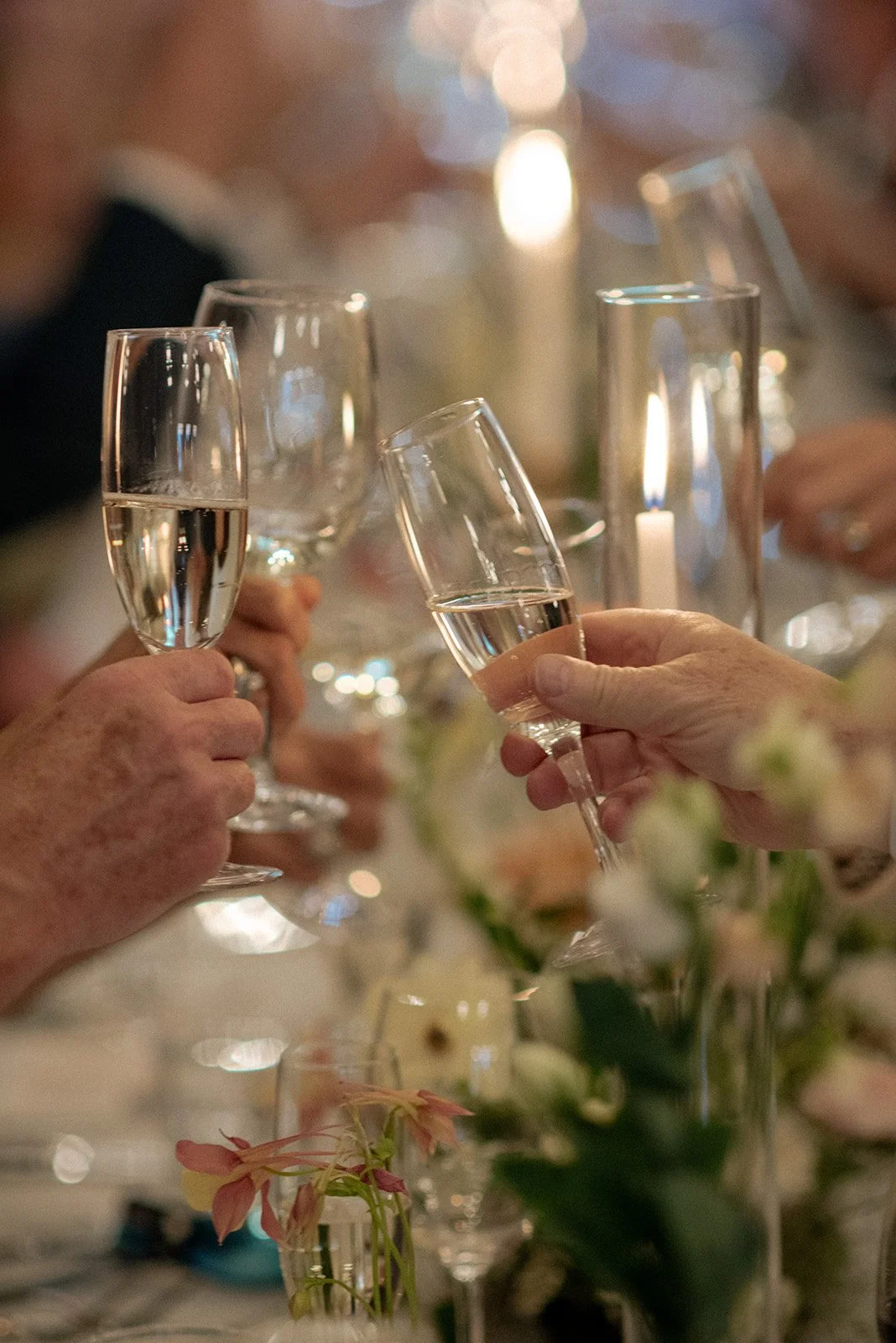 Wedding celebrations: best wedding planner in Toronto and GTA