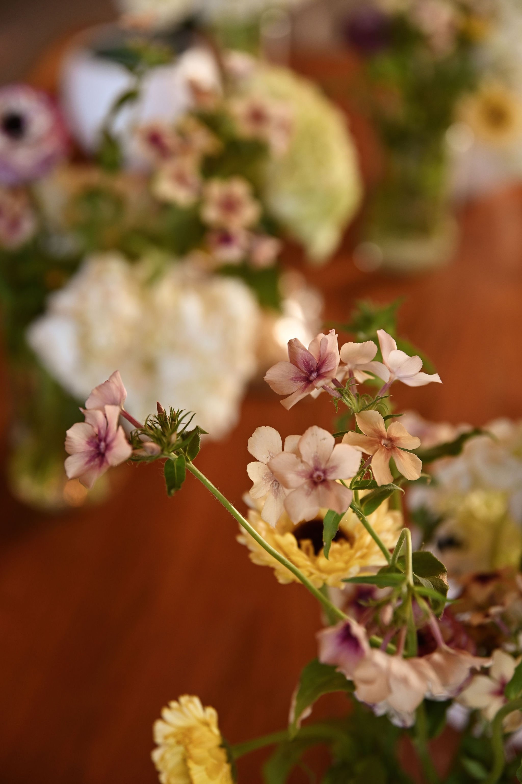 A group of guests enjoying a social flower arranging class in Toronto.