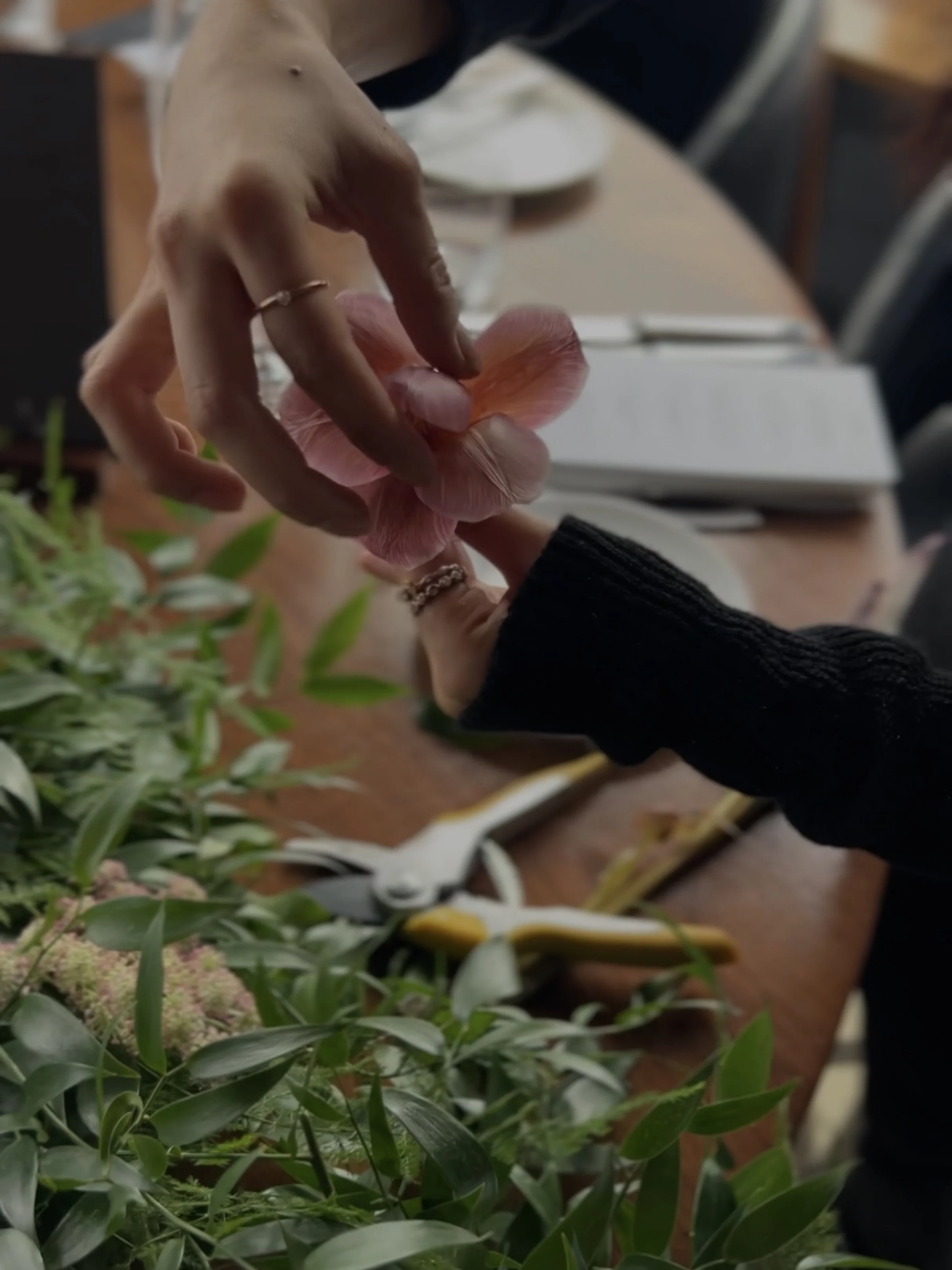 Untitled design.zip - 1.jpg