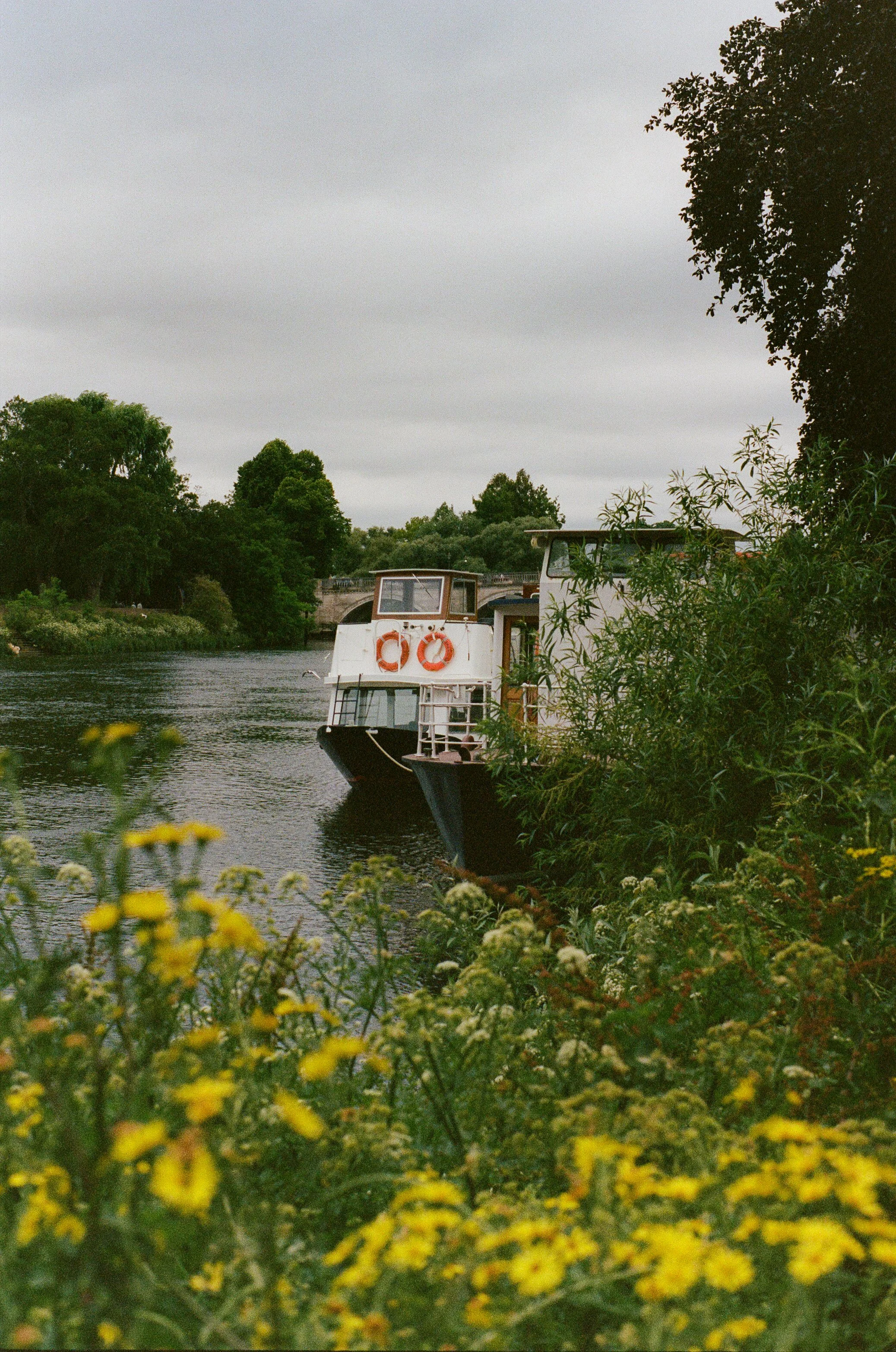 Richmond Waterfronts