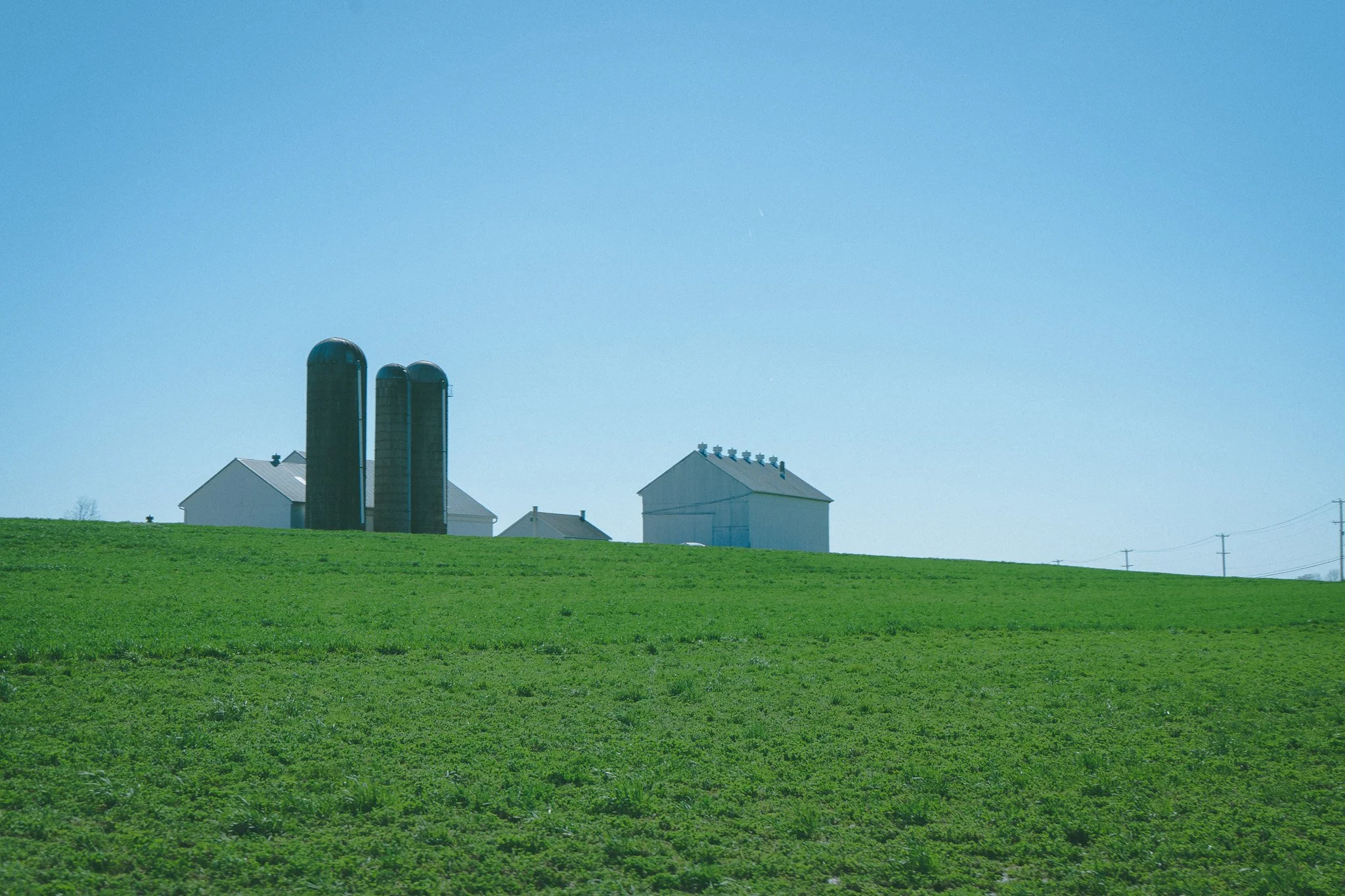 Amish Landscapes