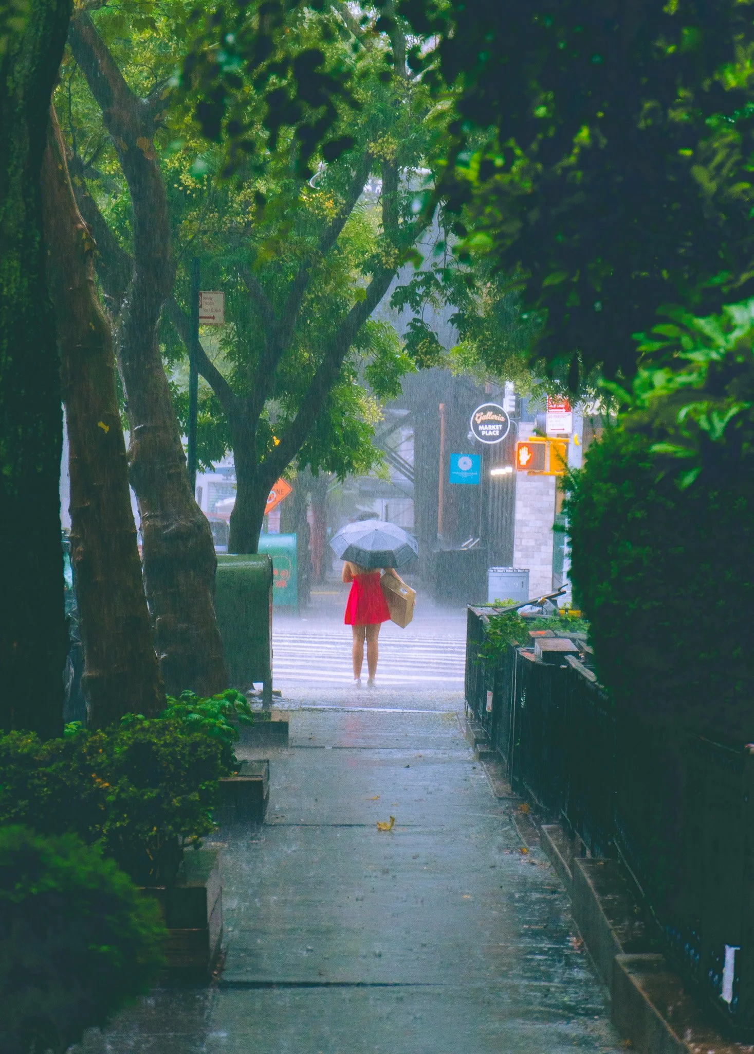 The Red Dress in Rain