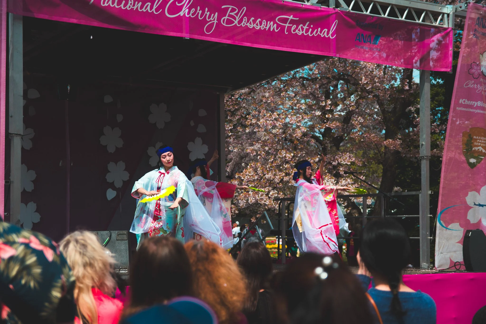 The Cherry Blossom Festivals