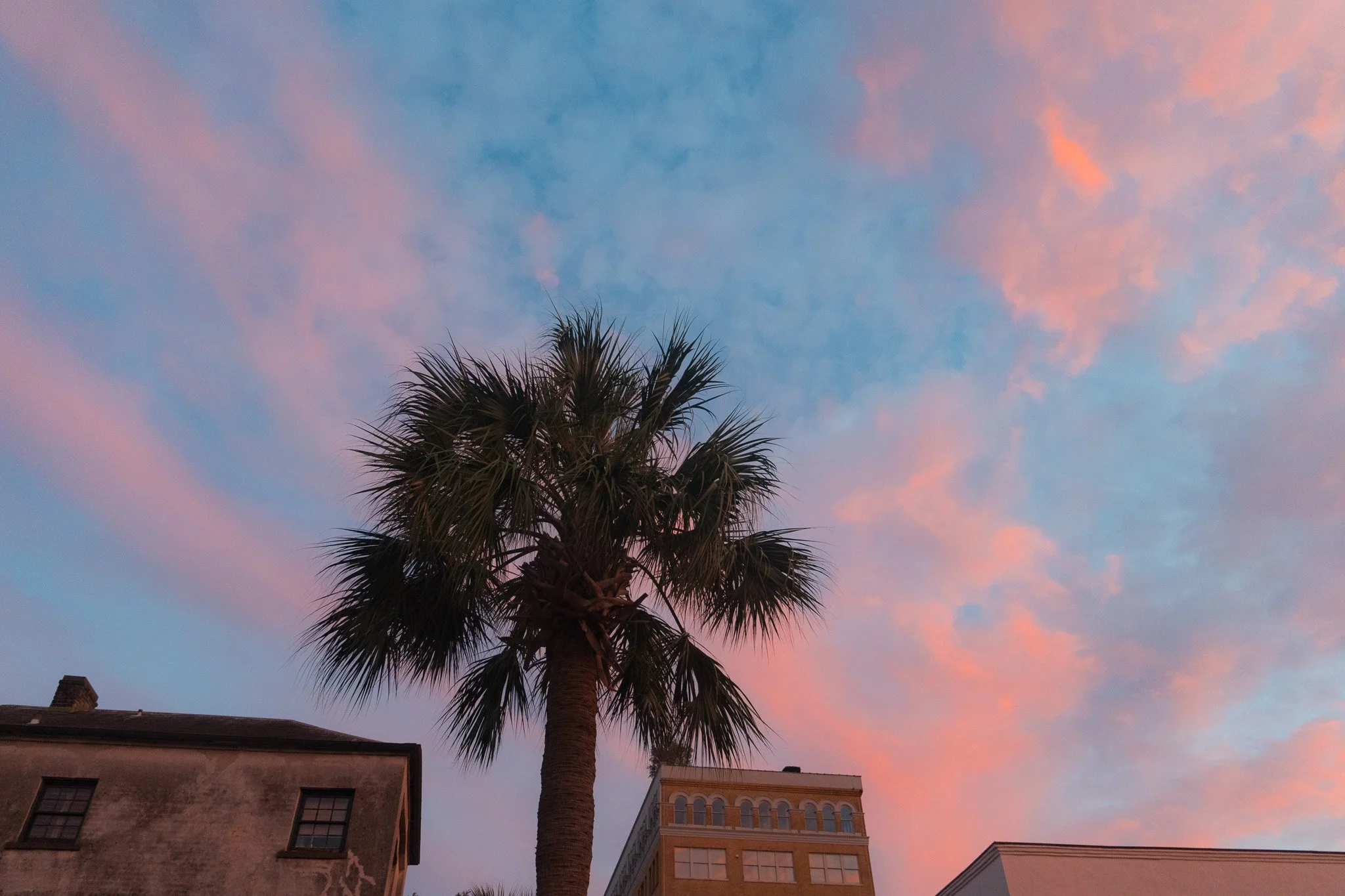 Cotton Candy Skies over Charleston
