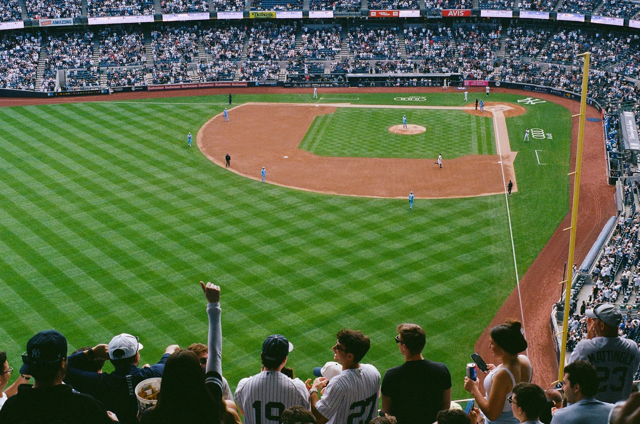 The Yankees
