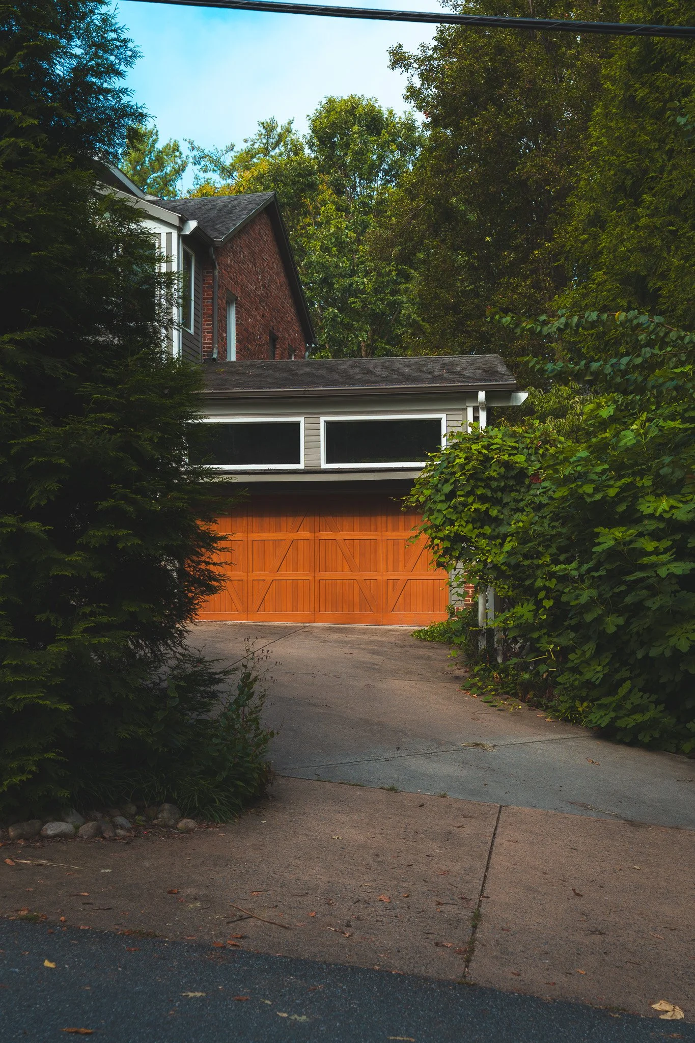 The Suburbs