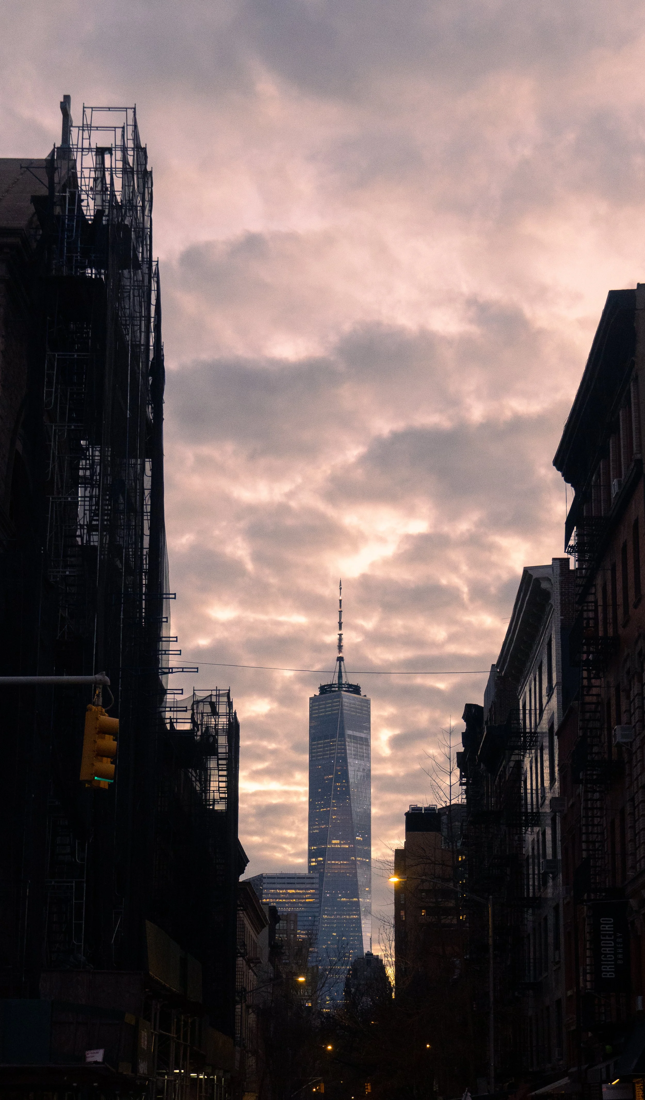New World Trade