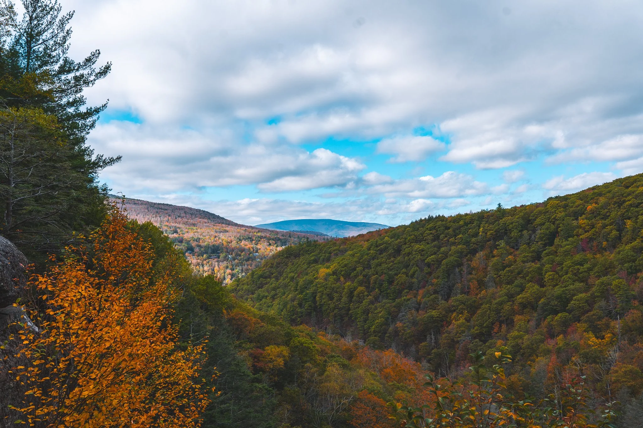 Fall in New York