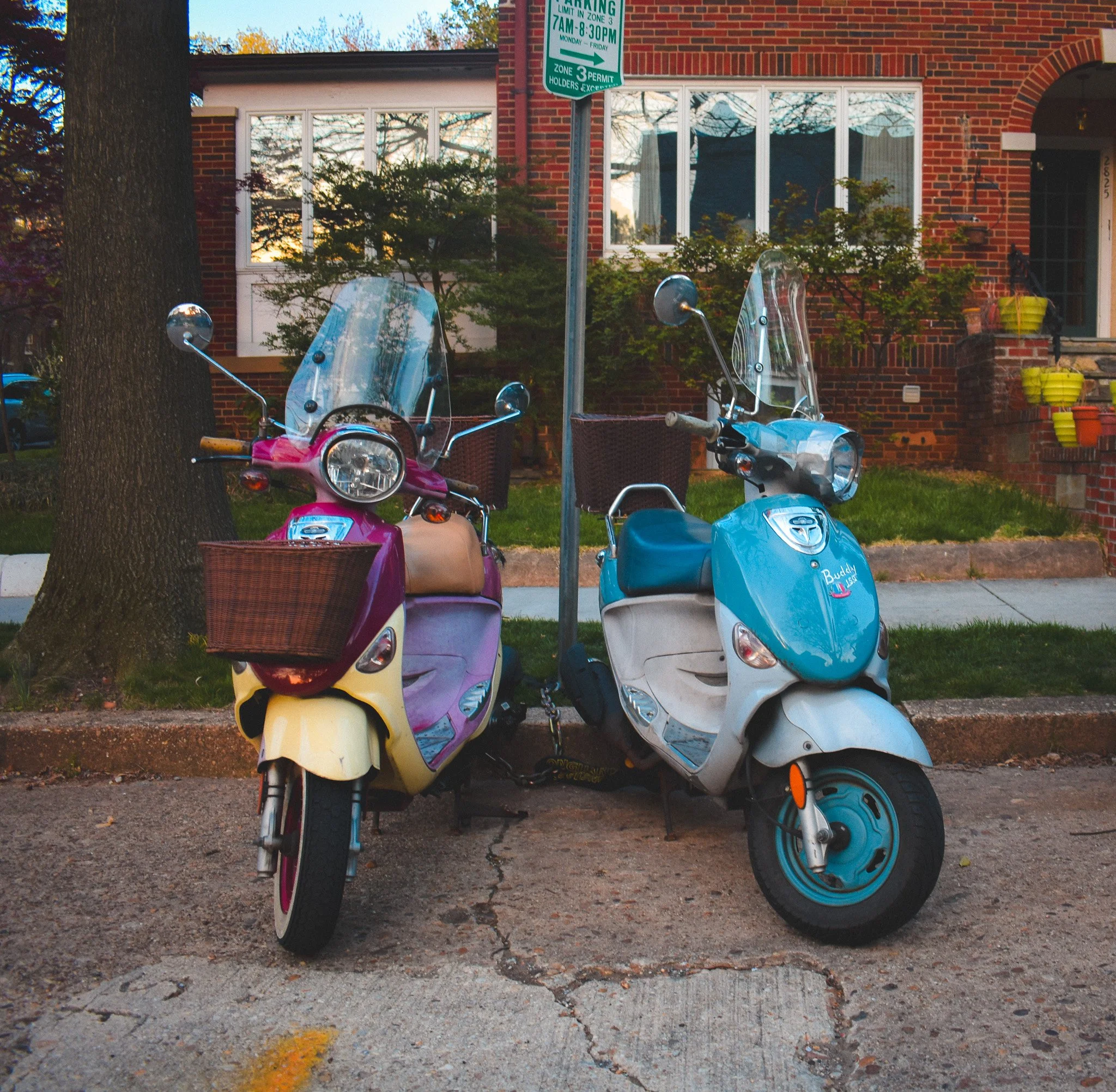 The Mopeds