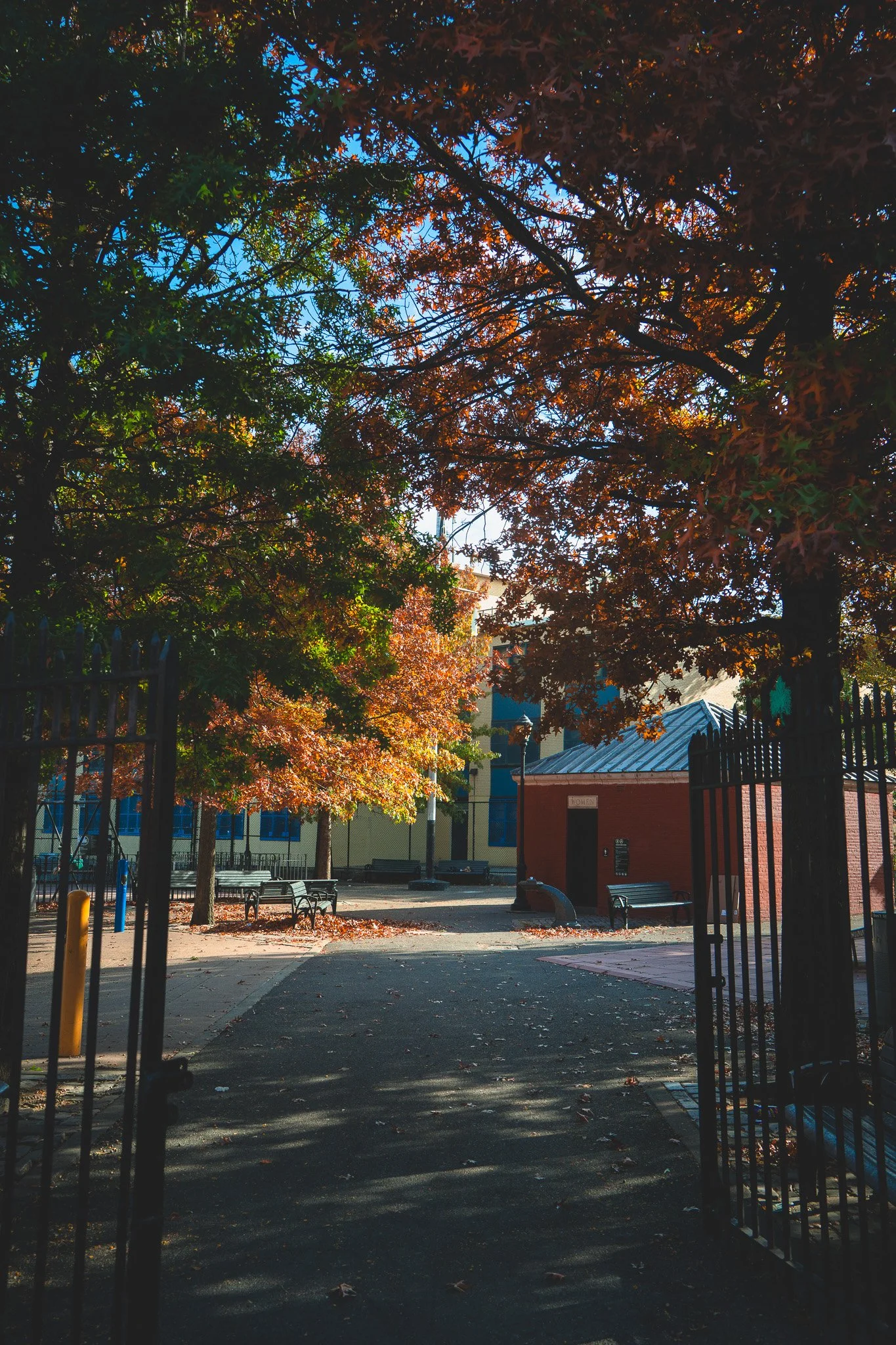 Bushwick in Autumn