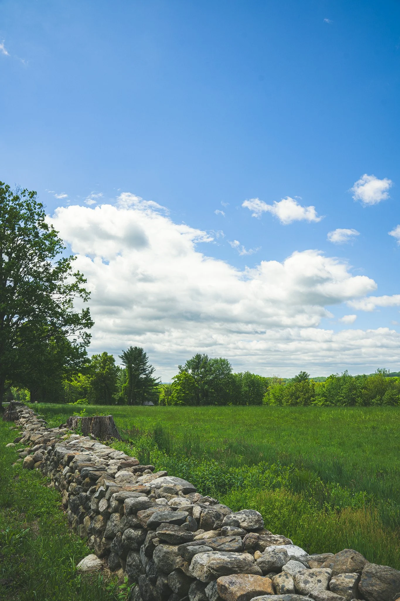 CT Landscape