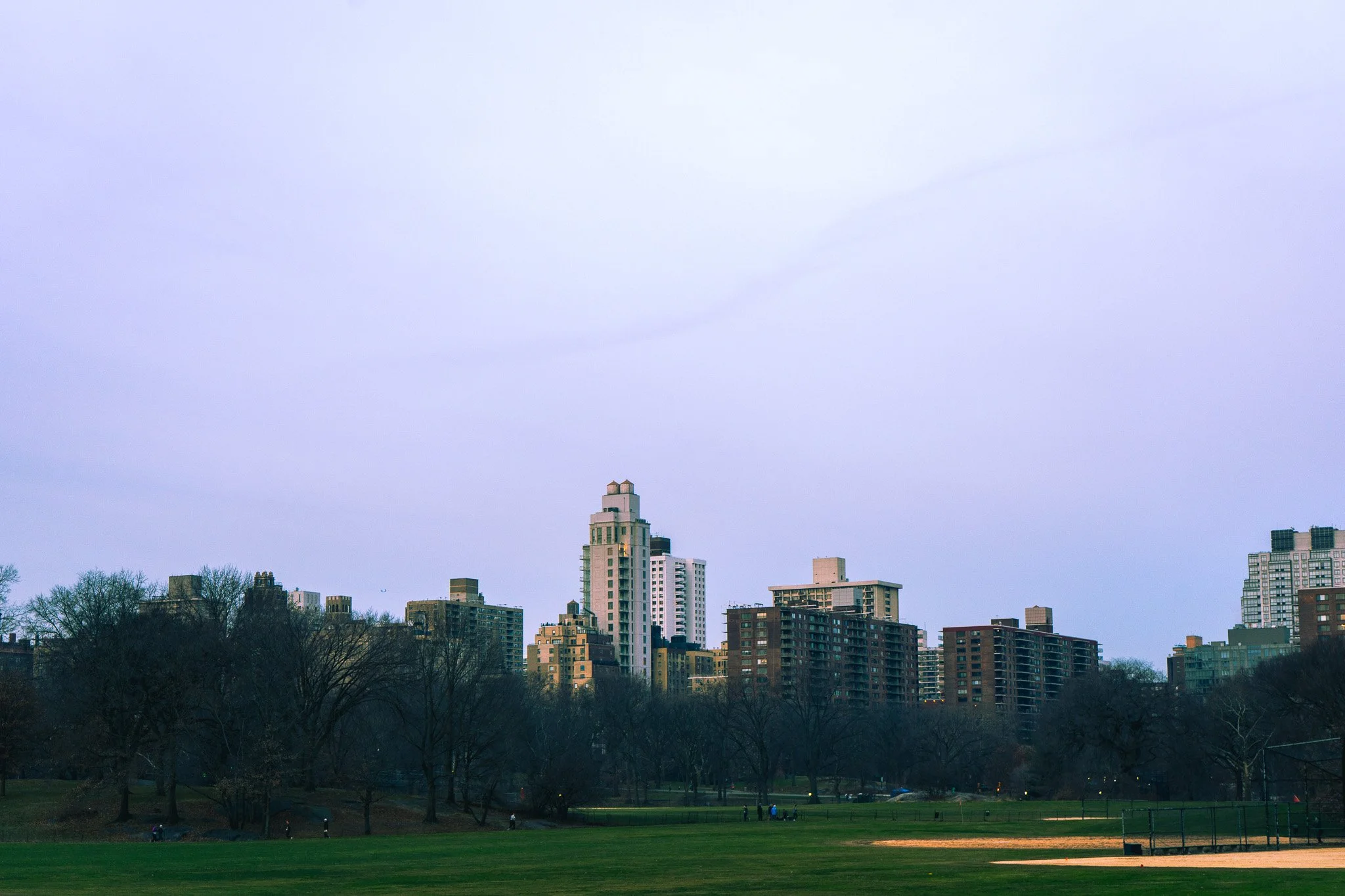 Morning in Central Park
