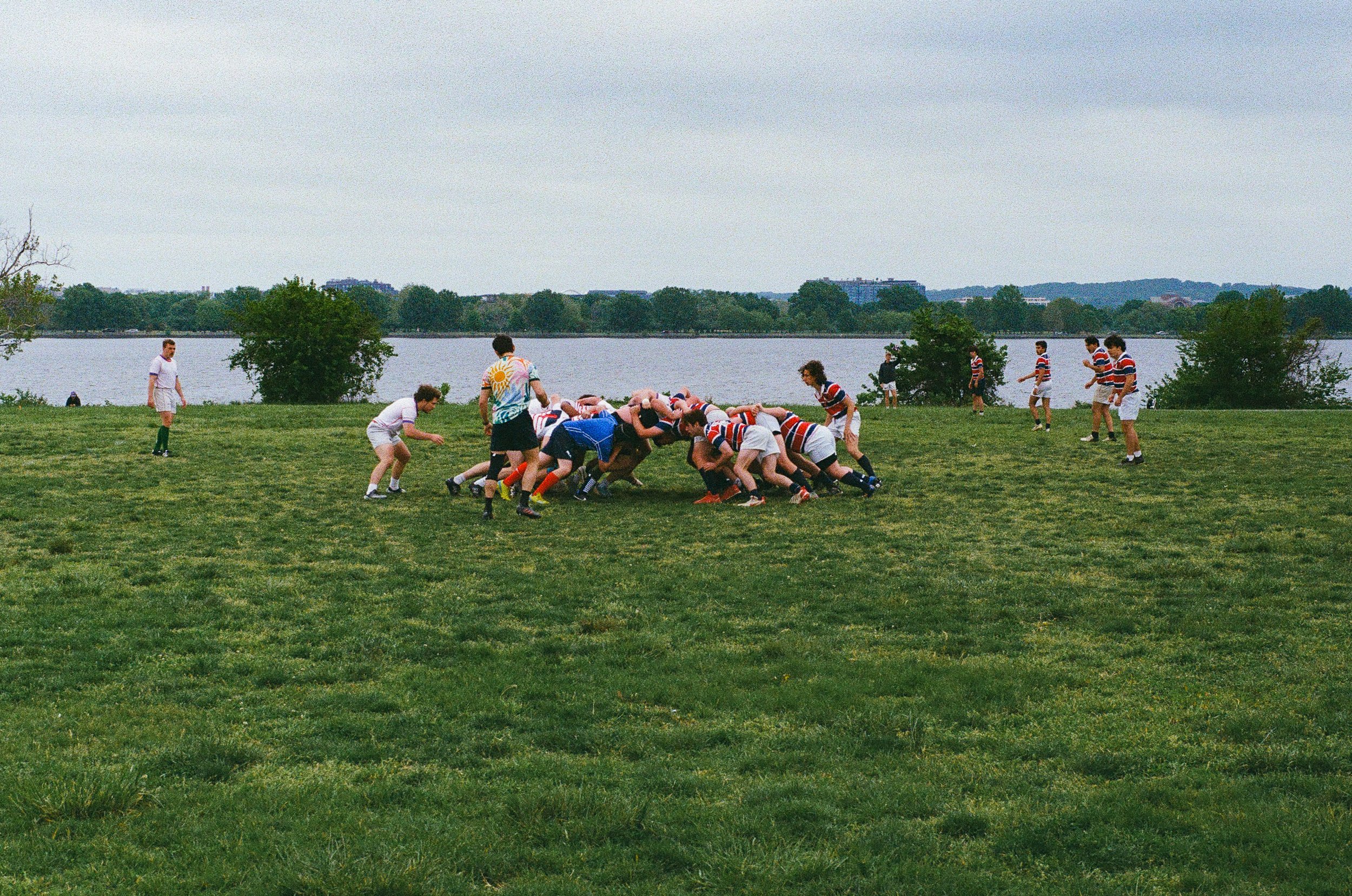 The Scrum