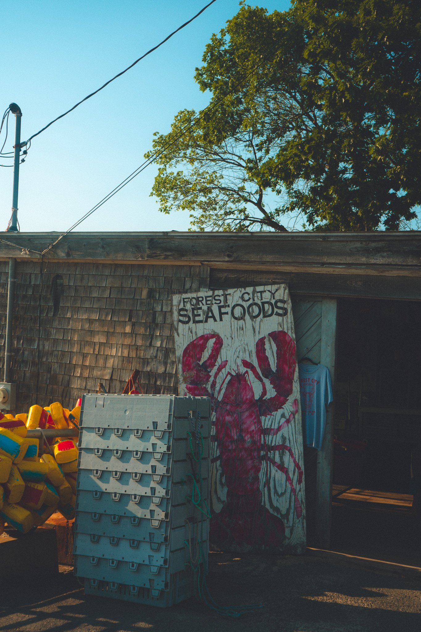 Portland Fruit Market