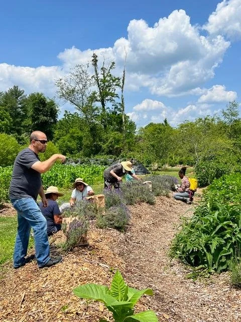 A volunteer leading a group through the farm's garden beds