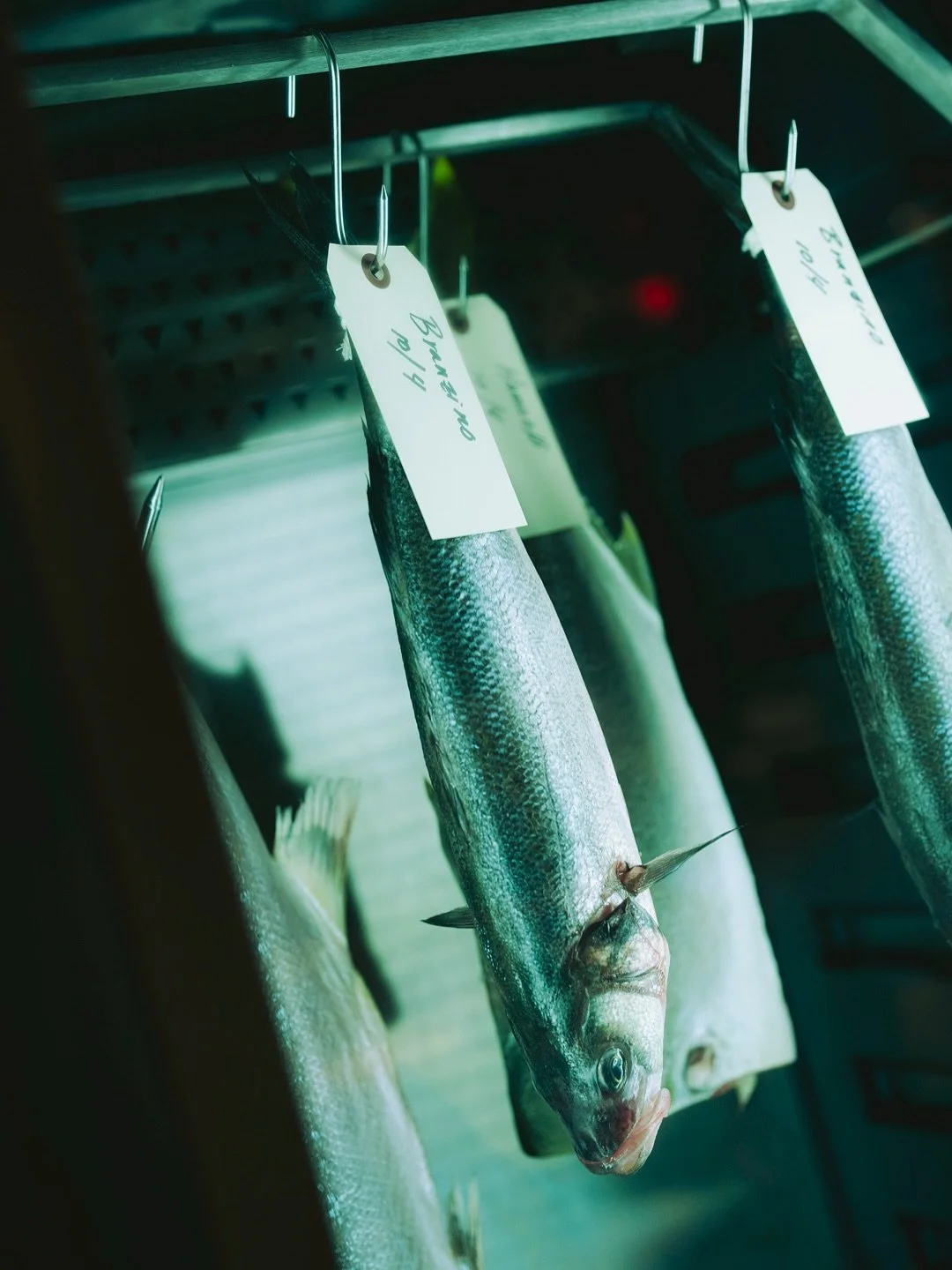 precision in every scale.