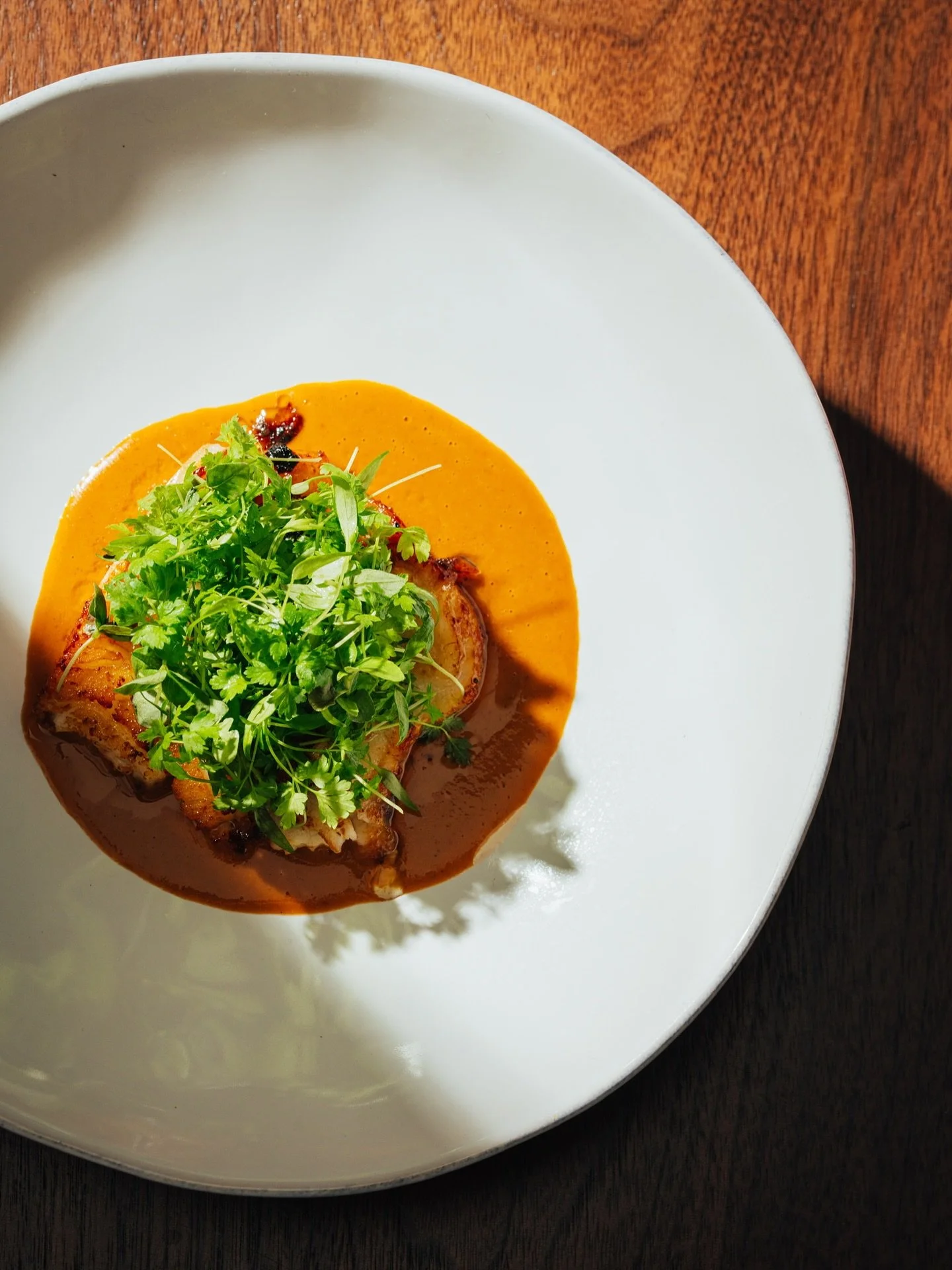 coconut curry. miso butter. chilean sea bass.
//
silky texture, layered depth.