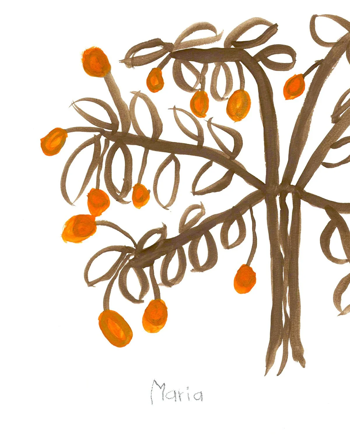 Wild Fruit_Zoom_PDP.jpg