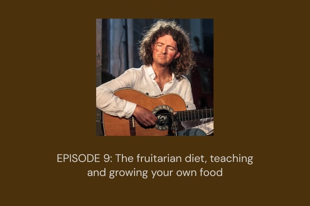 #9 The fruitarian diet, growing your own food and teaching with ANDREJ OFAK | Sound Mind Podcast