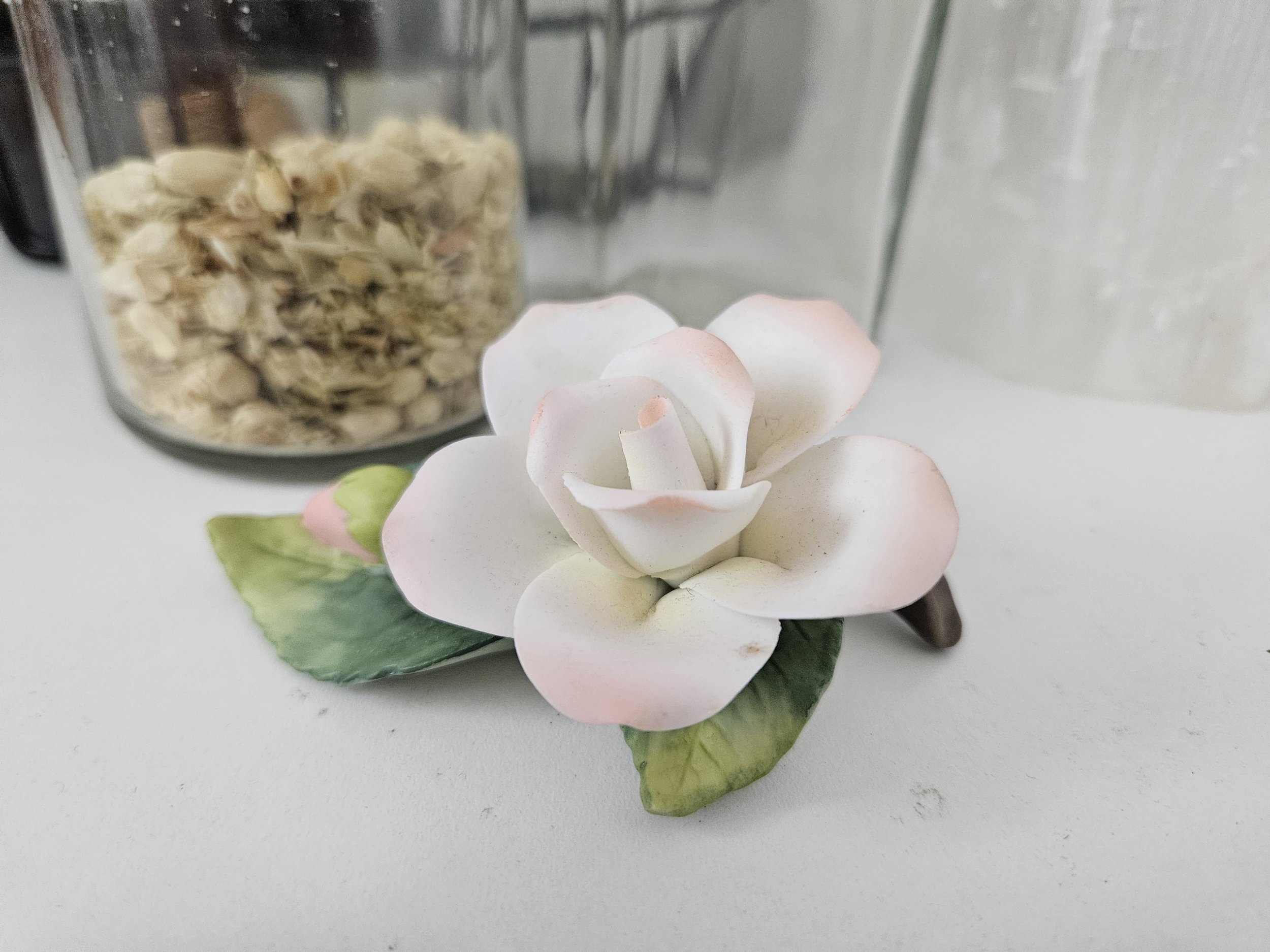 sweet porcelain rose