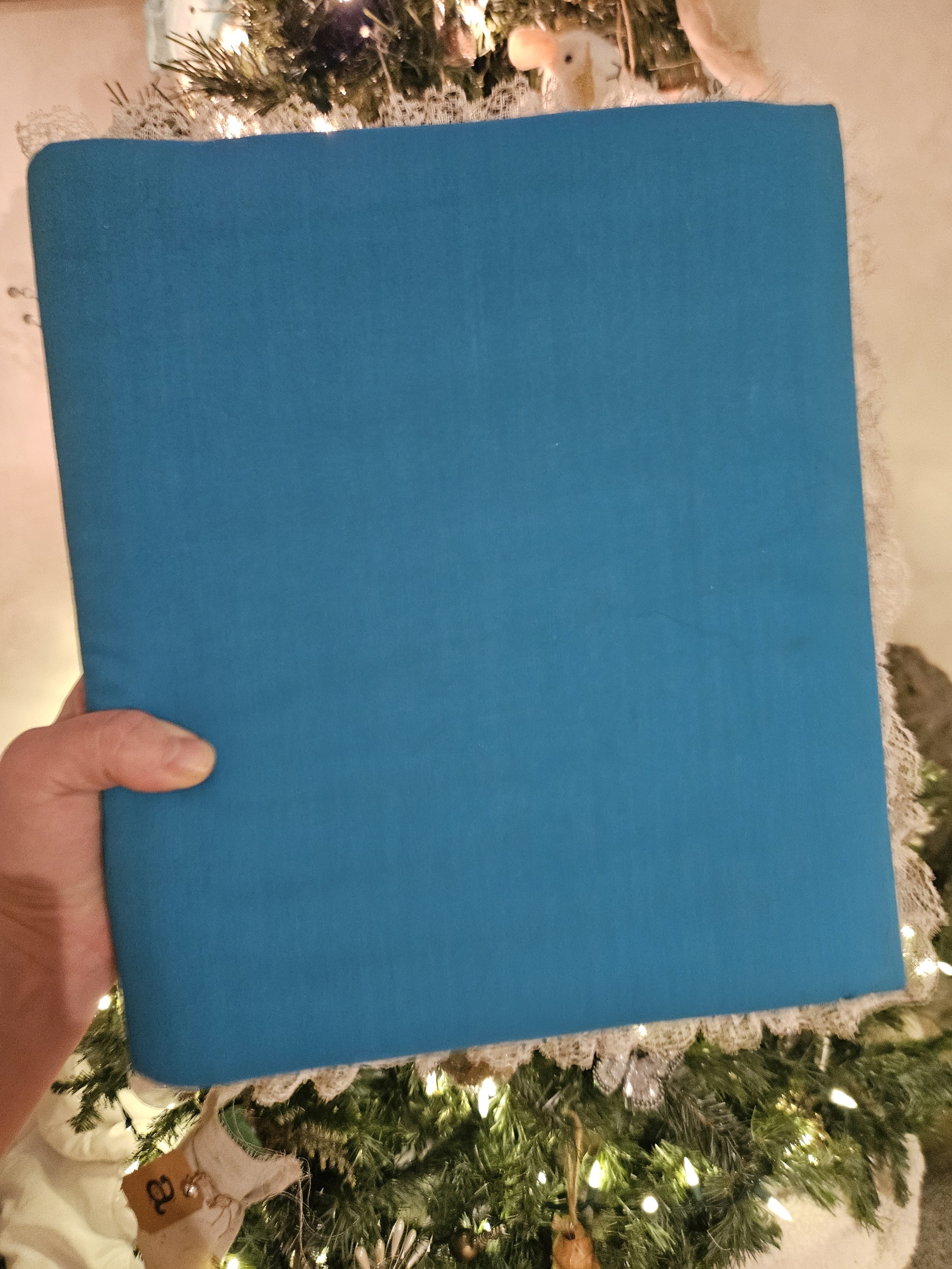processed_69287f8d703748d58de2772277bce1dd.jpeg