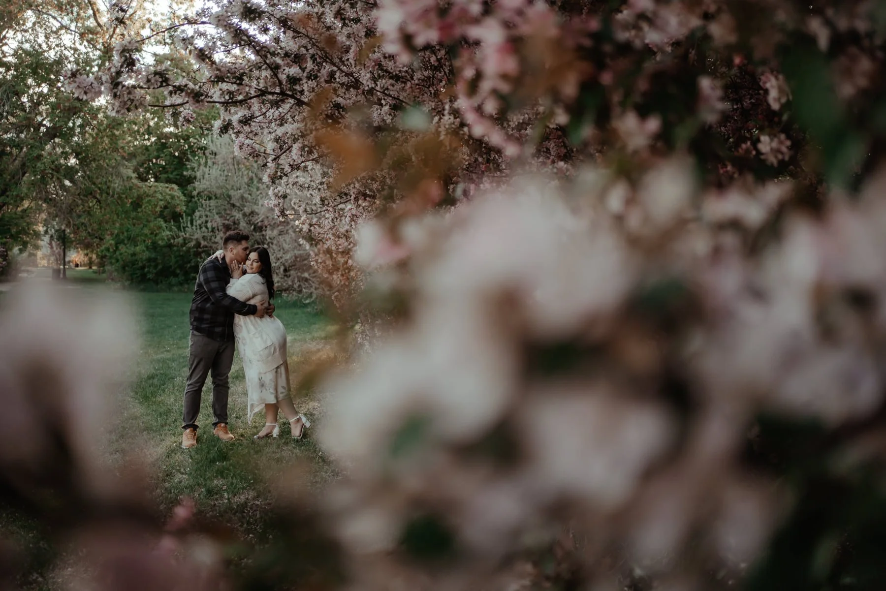 spring_blossom_engagement_photography25.jpg