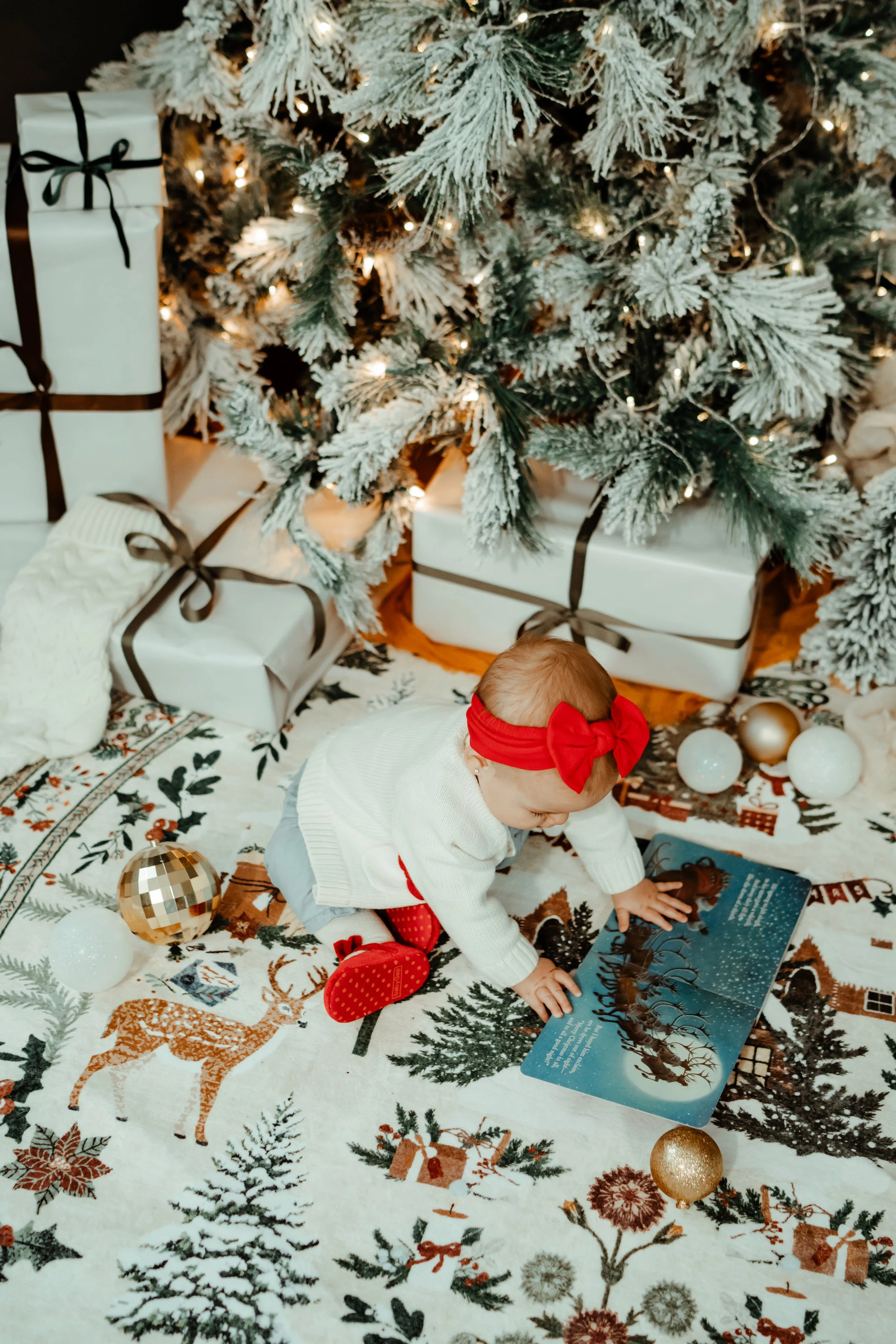 Kneeland Christmas 2025 53.jpg