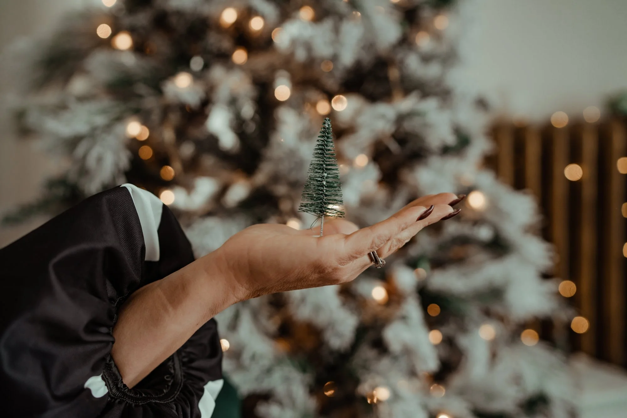Person holding a tiny artificial Christmas tree in front of a decorated Christmas tree with lights.