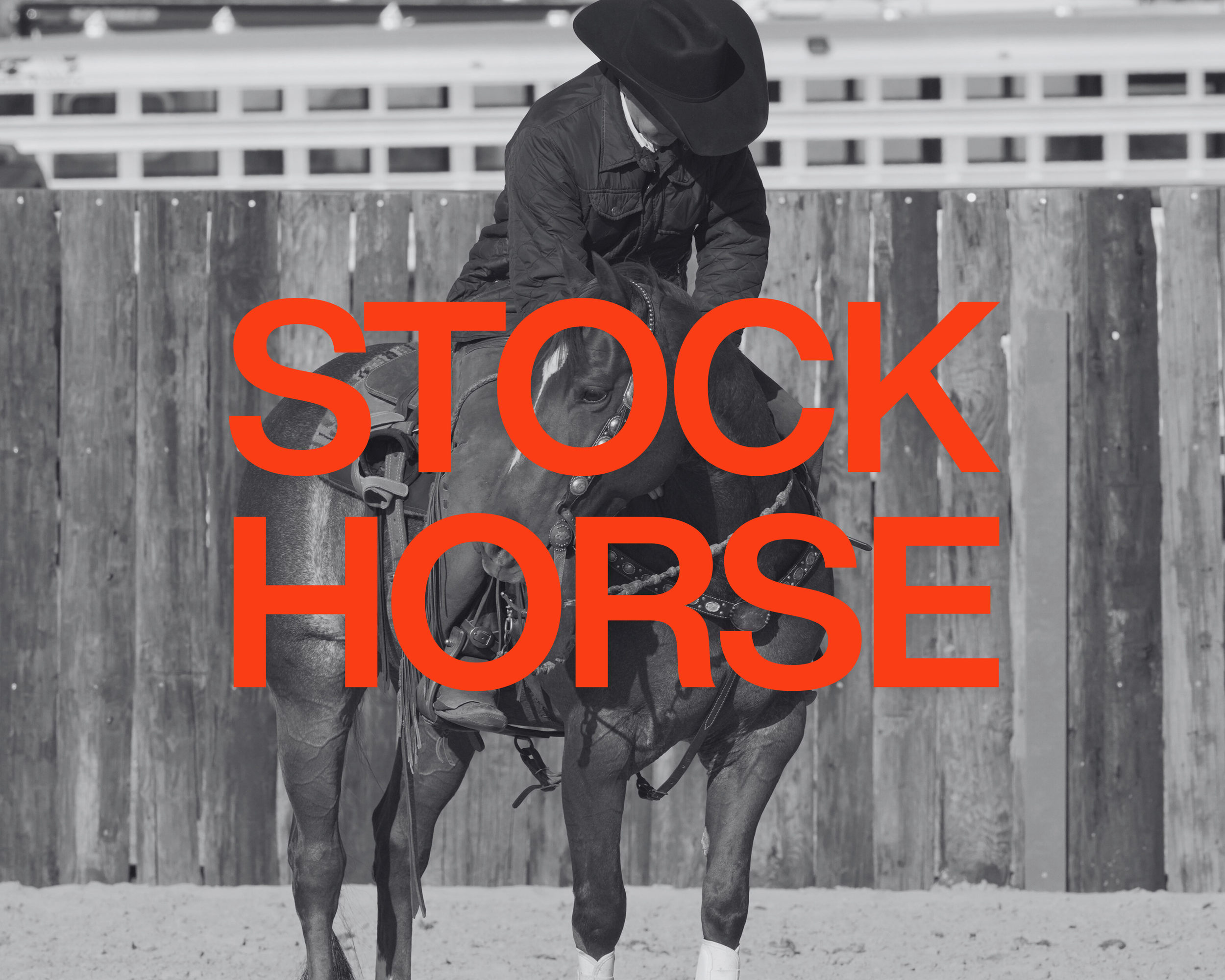 East Texas Stock Horse