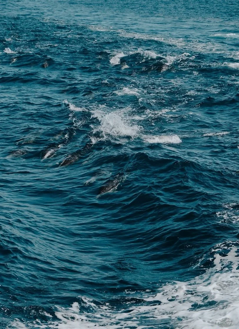 ae2df611-856f-41ba-abc7-cda5a2eba724_rw_1920.JPG copy.jpg