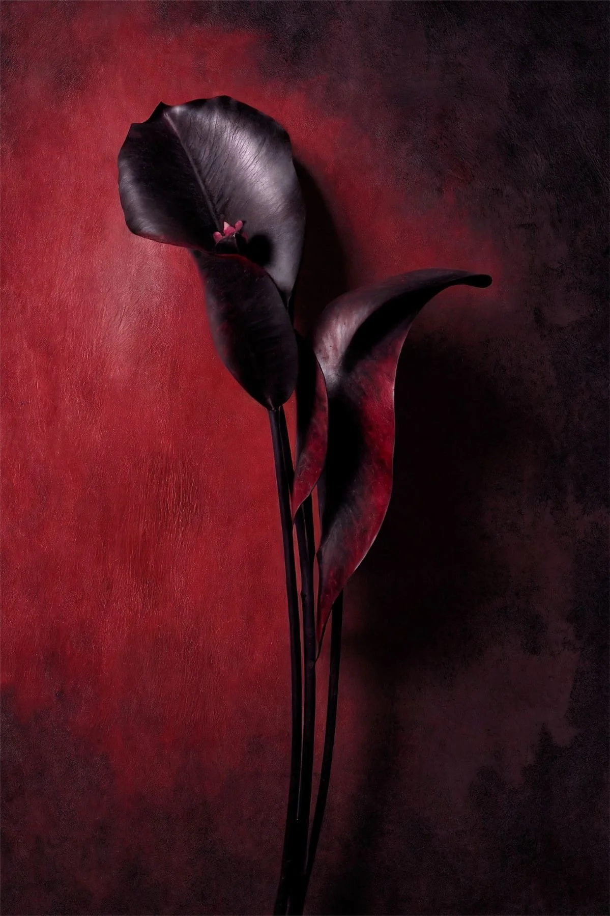 Set Of 3 GHOST, LOVERS, LOVE STORY